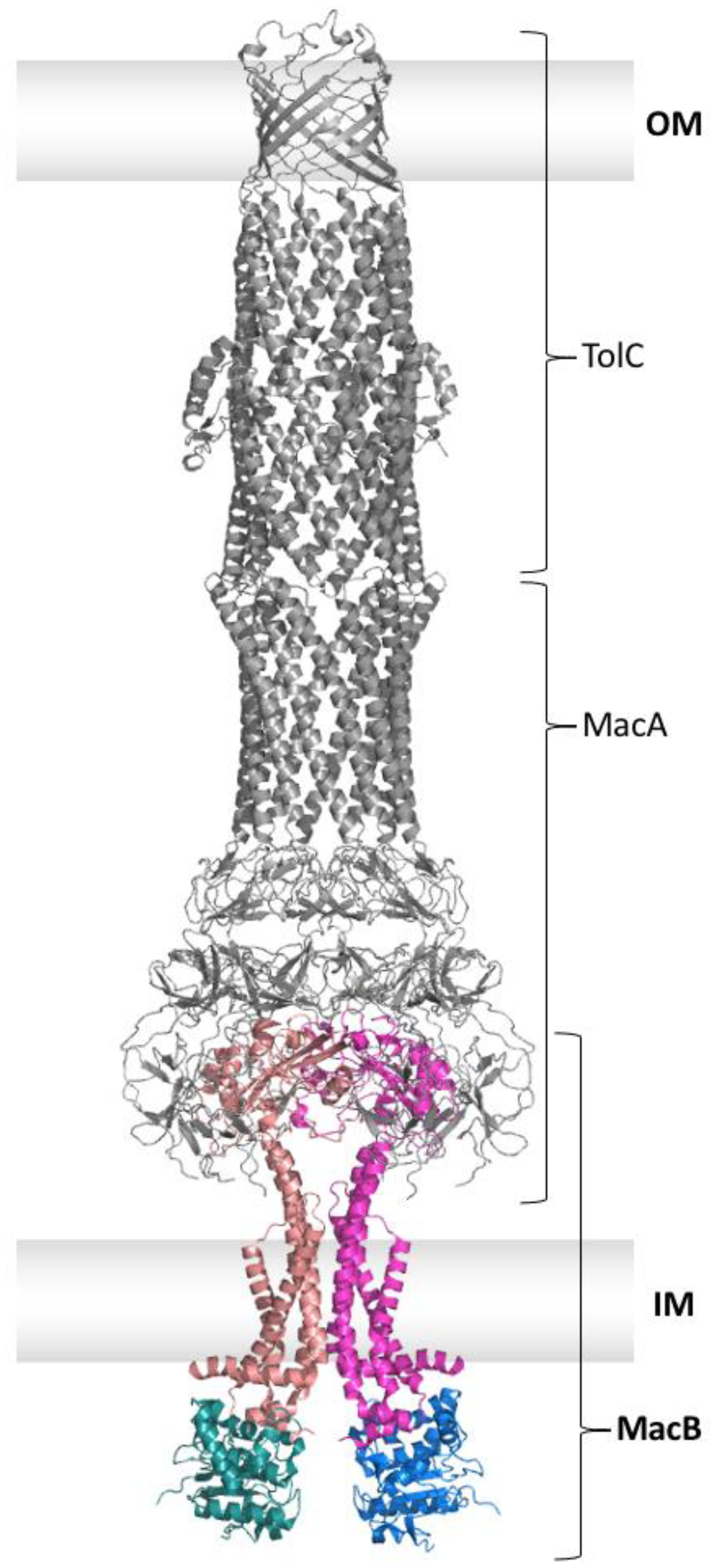 Ijms 24 06227 g004 Ijms 24 06227 g004