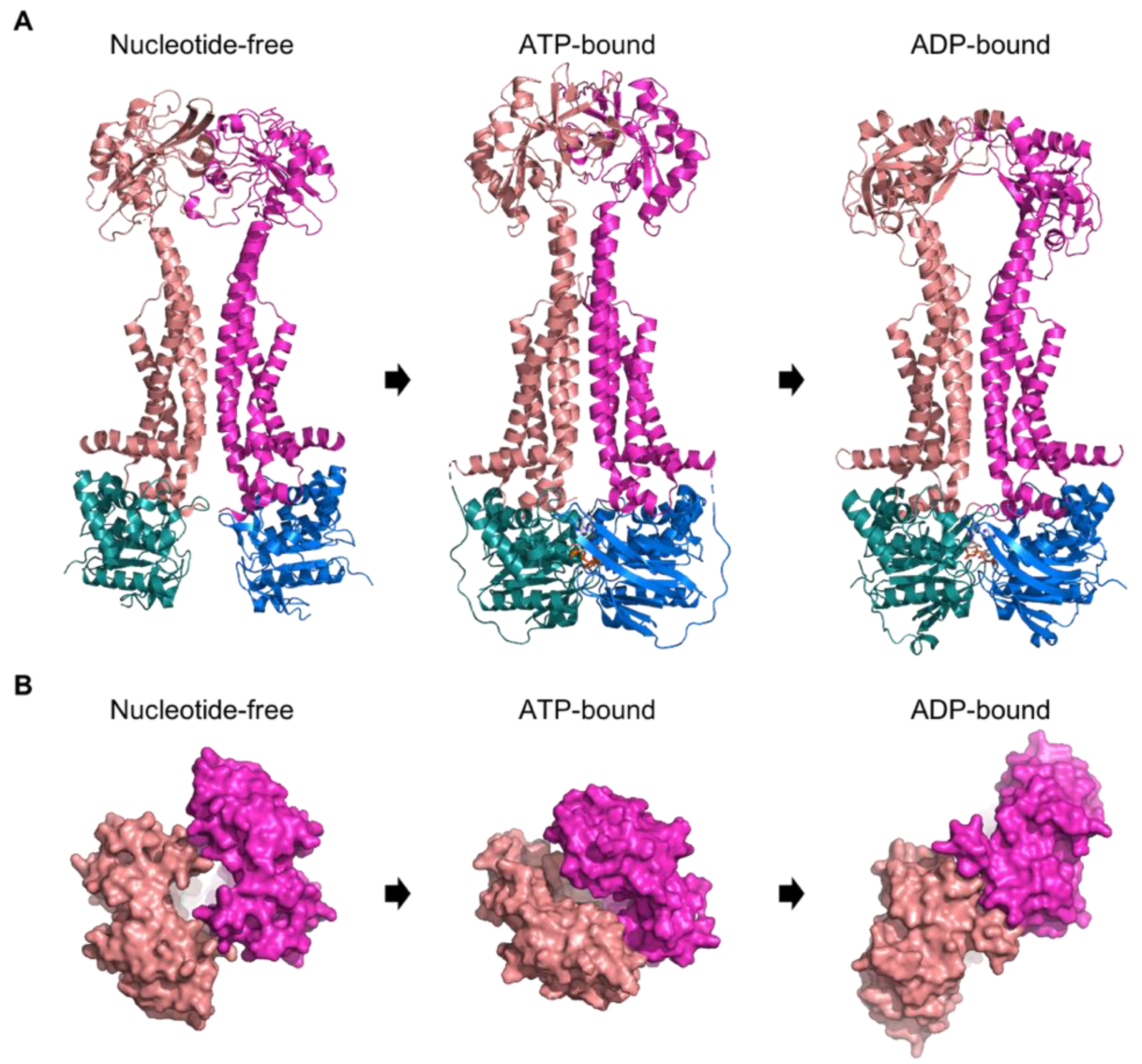 Ijms 24 06227 g005 Ijms 24 06227 g005
