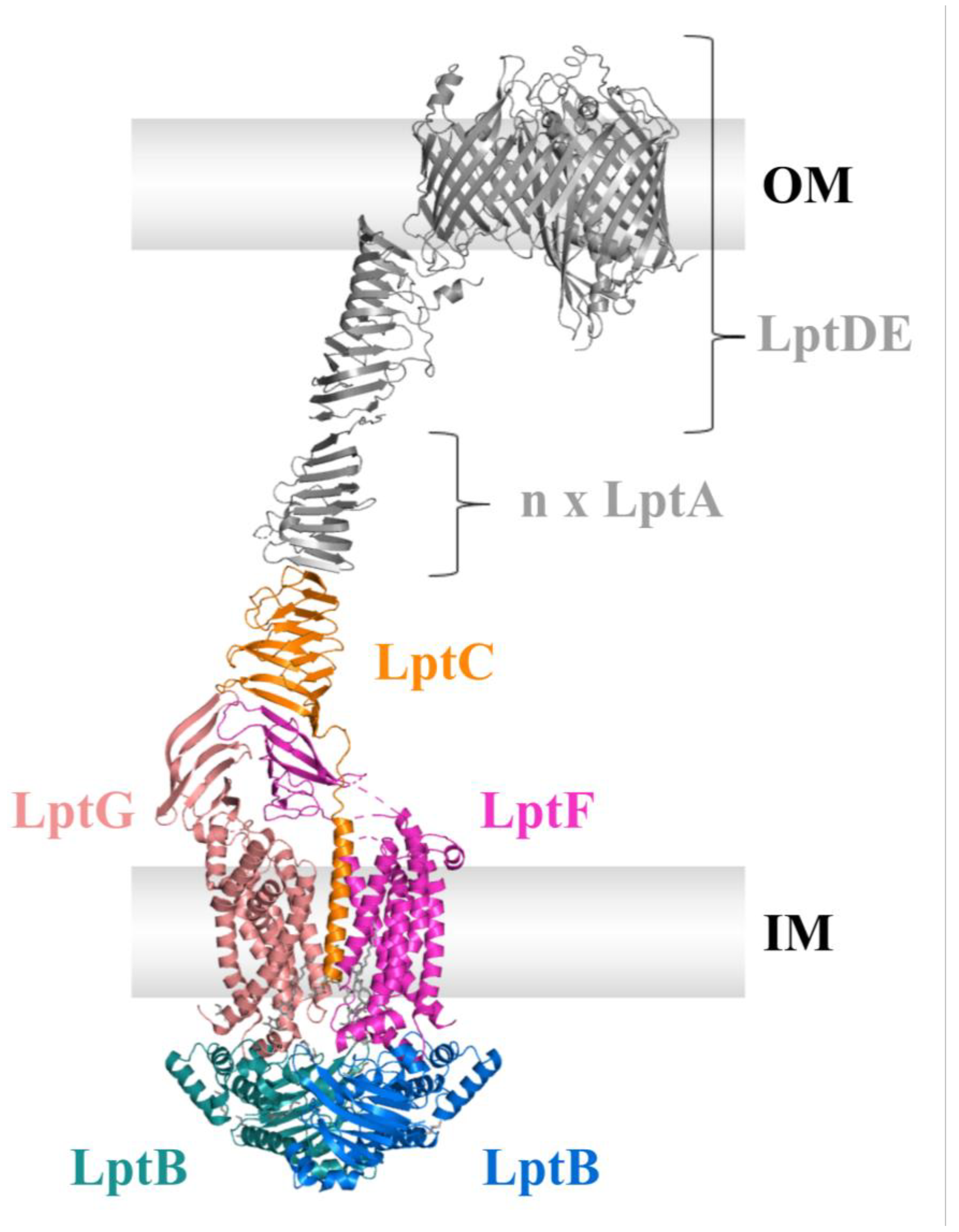 Ijms 24 06227 g006 Ijms 24 06227 g006