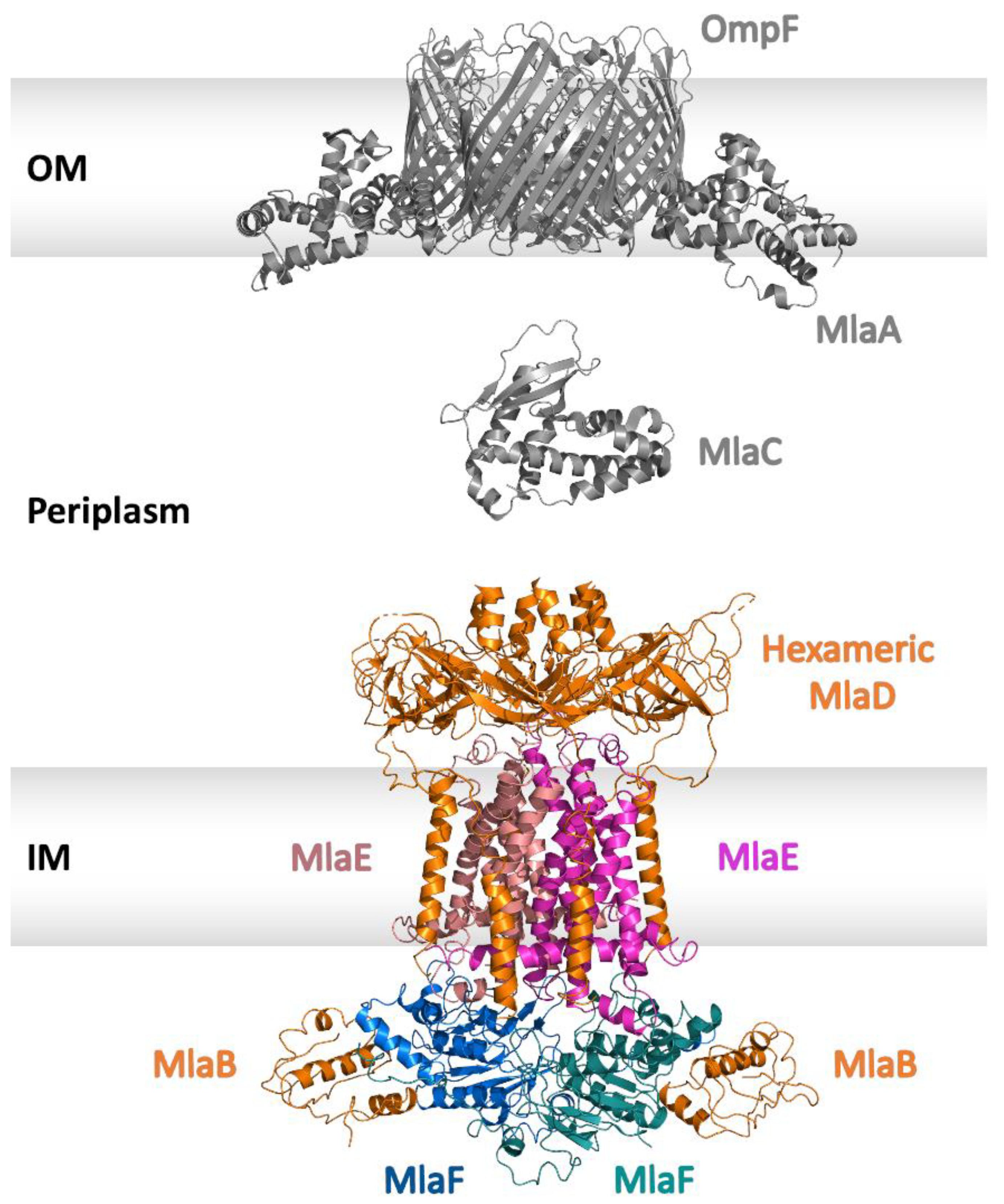 Ijms 24 06227 g008 Ijms 24 06227 g008