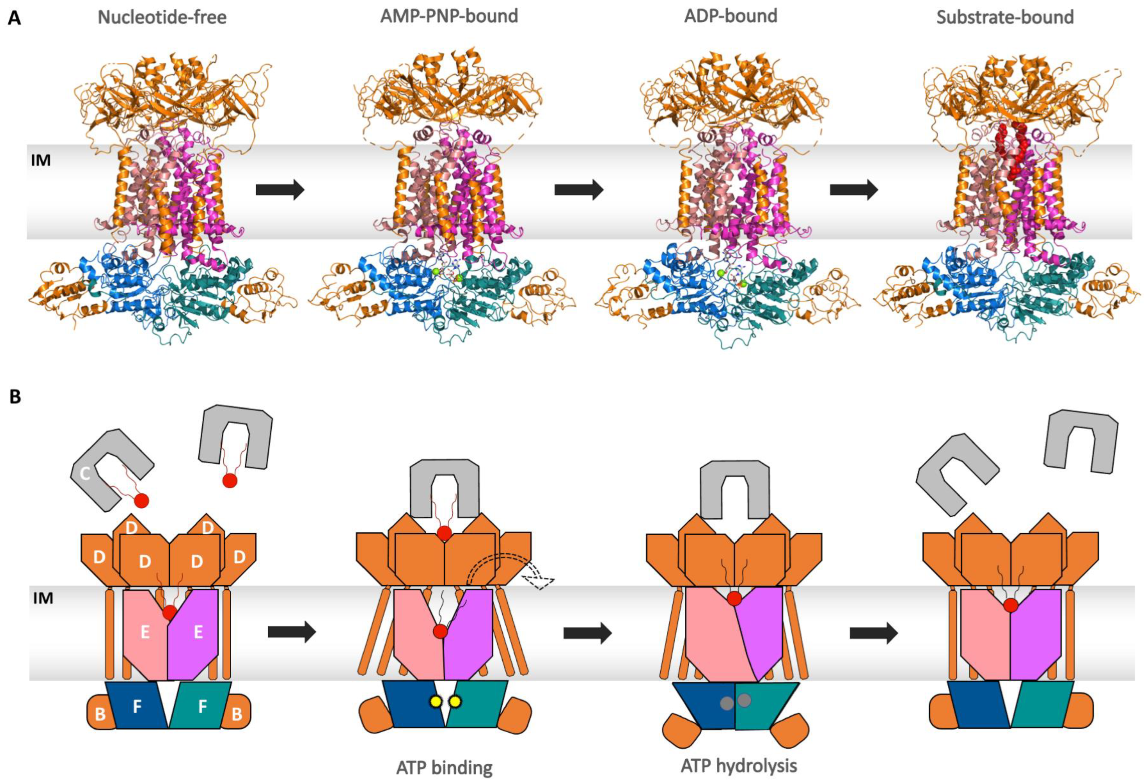 Ijms 24 06227 g009 Ijms 24 06227 g009