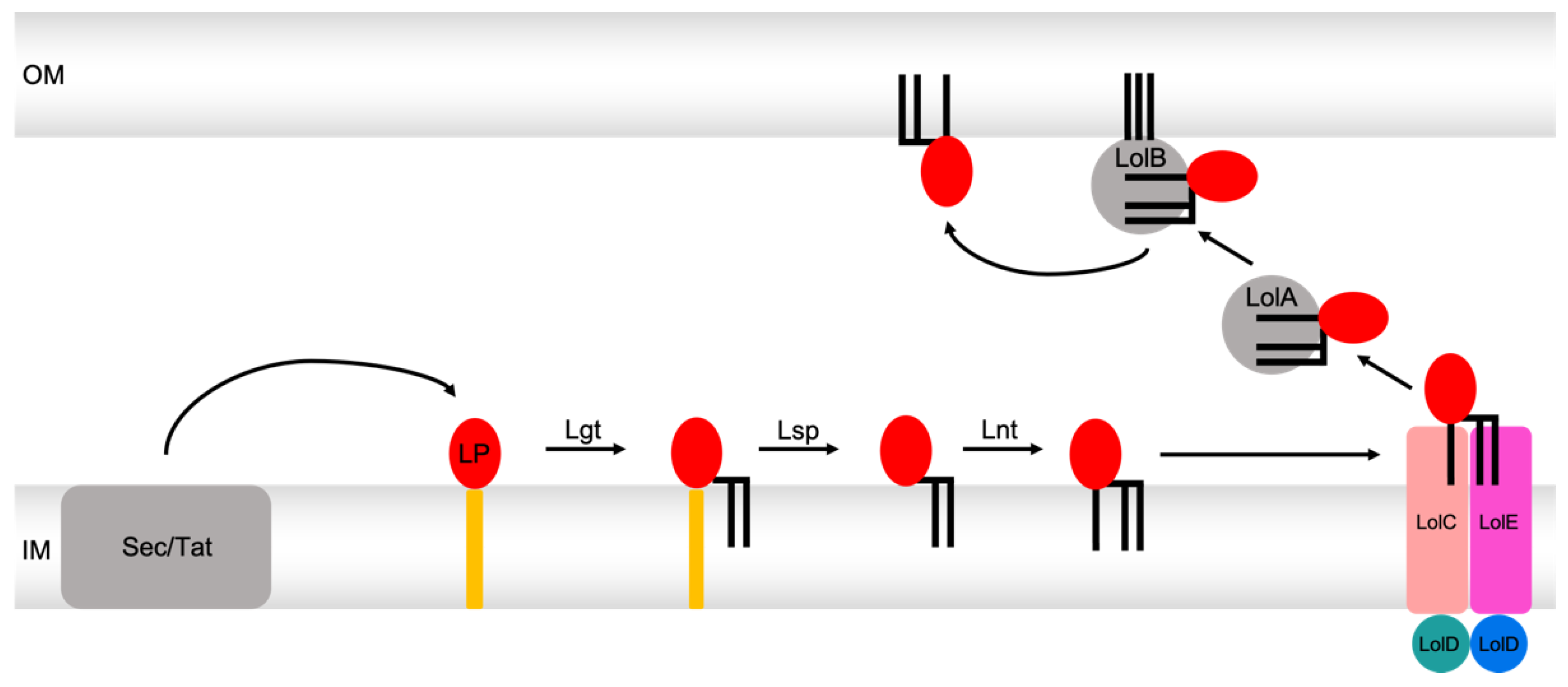Ijms 24 06227 g010 Ijms 24 06227 g010