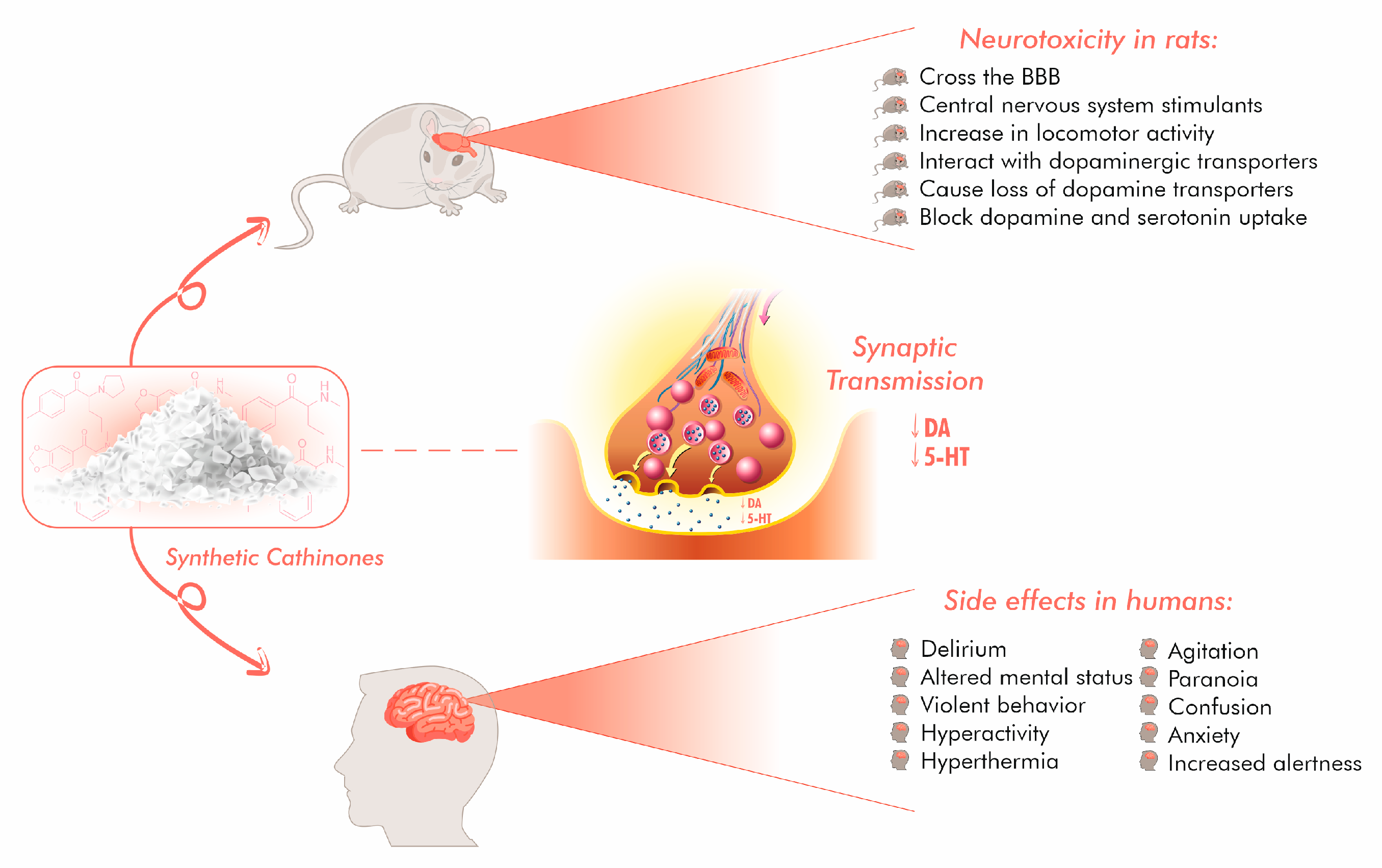 Ijms 24 06230 g003 Ijms 24 06230 g003