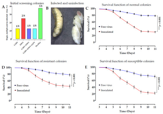 h. HON Assembled Storage Cabinet, 36w x 18.13d x 41.75h, Putty