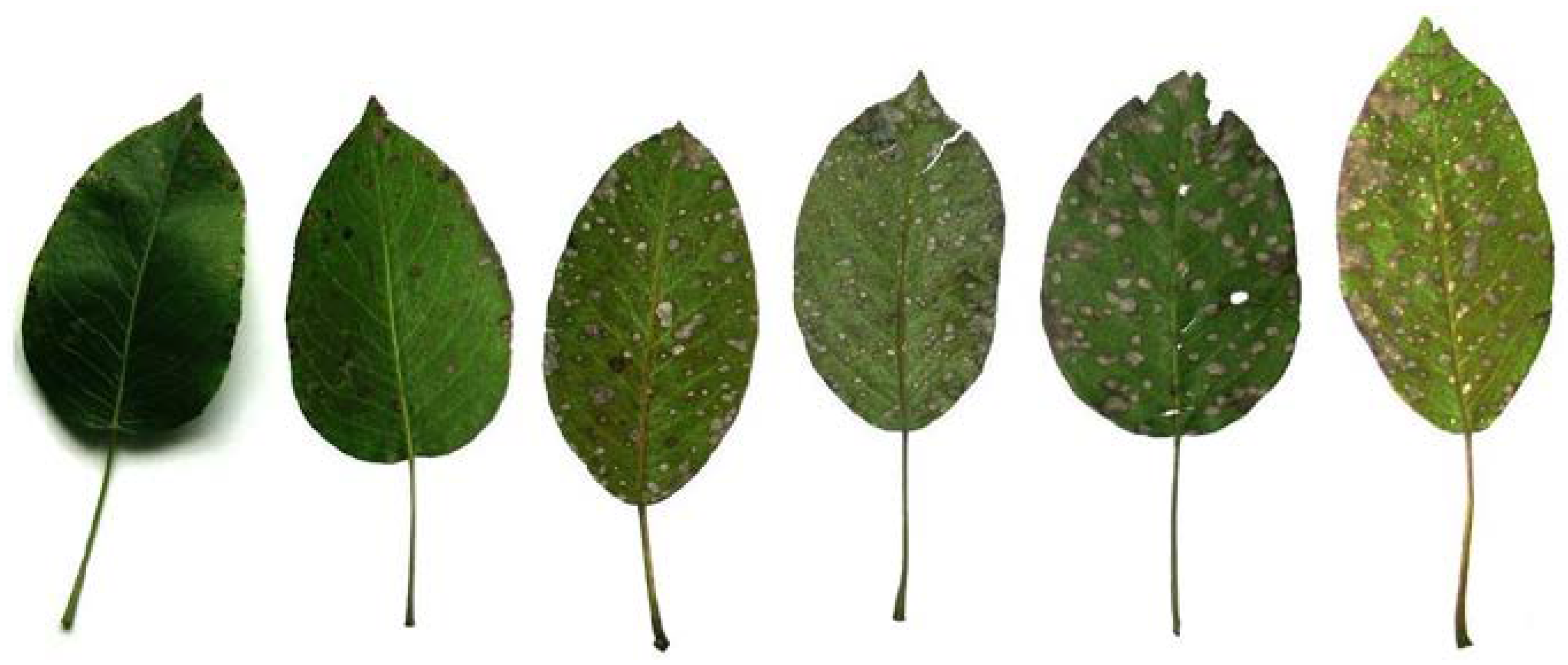 Ijms 24 06239 g006 Ijms 24 06239 g006