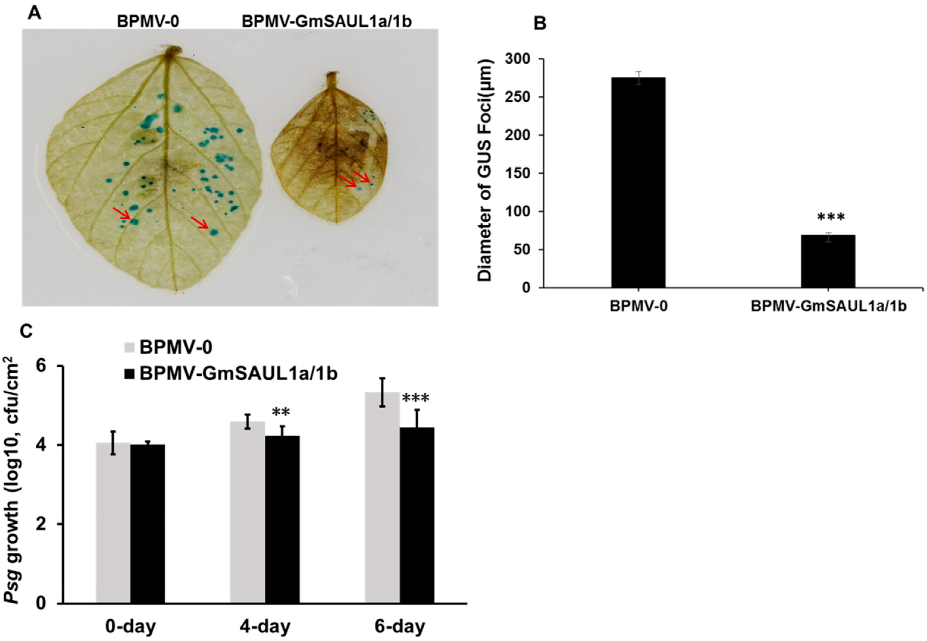 Ijms 24 06240 g003 Ijms 24 06240 g003