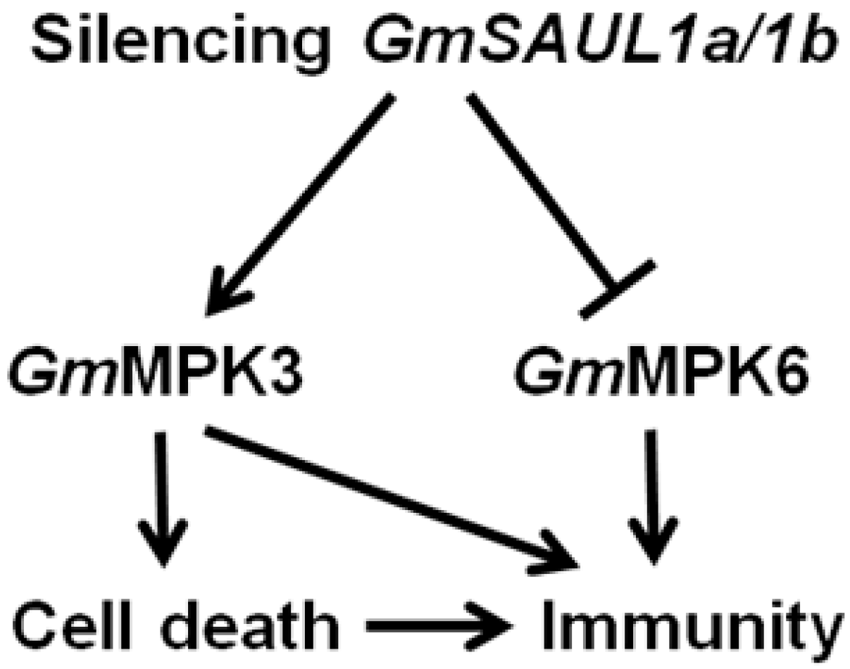 Ijms 24 06240 g007 Ijms 24 06240 g007