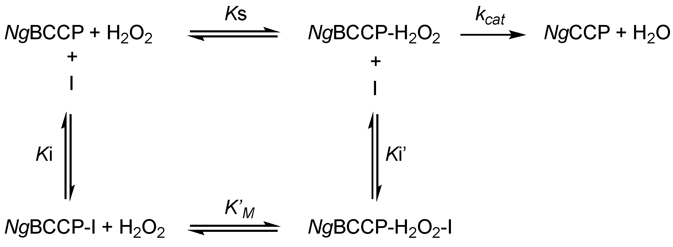 Ijms 24 06246 sch001