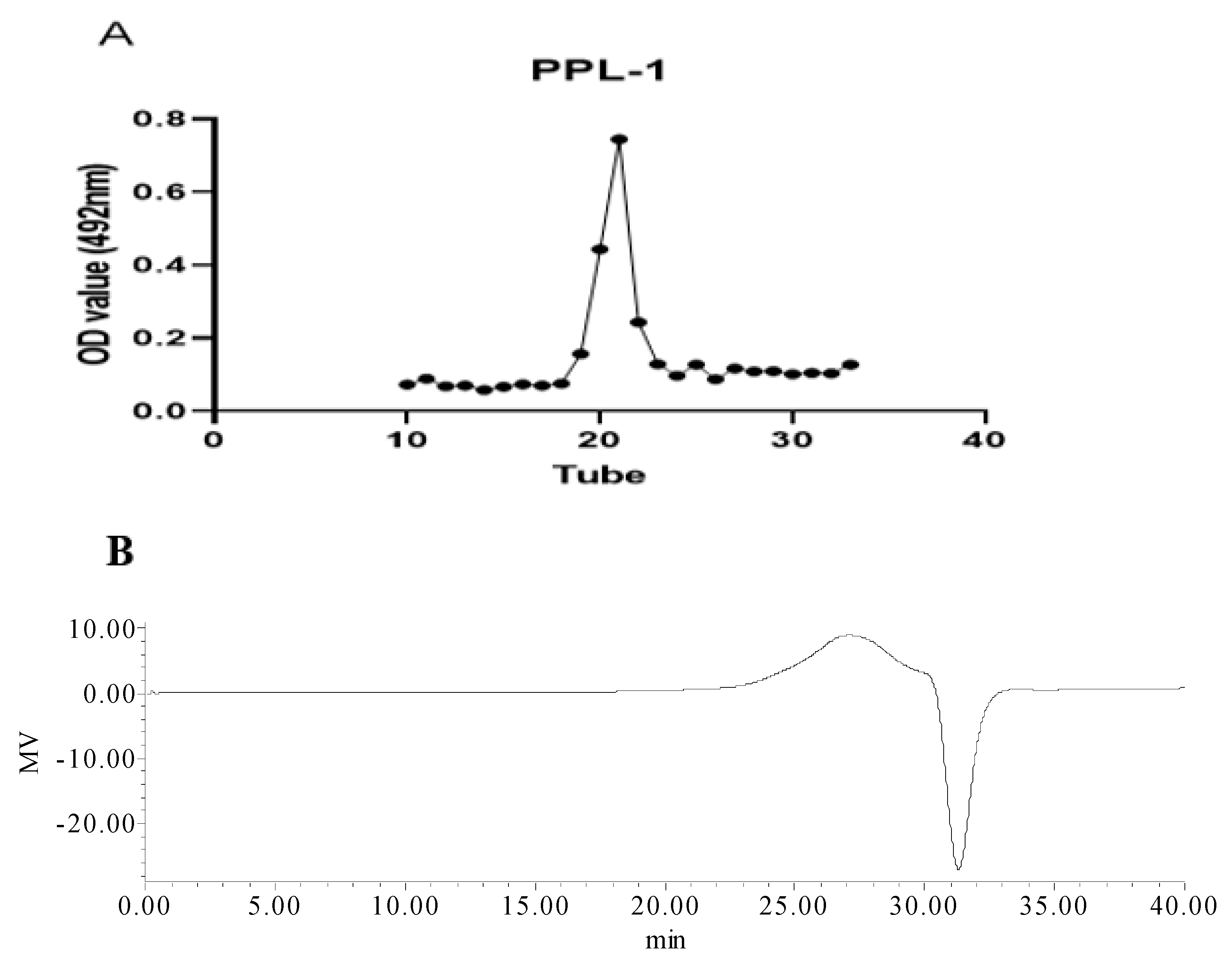 Ijms 24 06247 g001a Ijms 24 06247 g001a