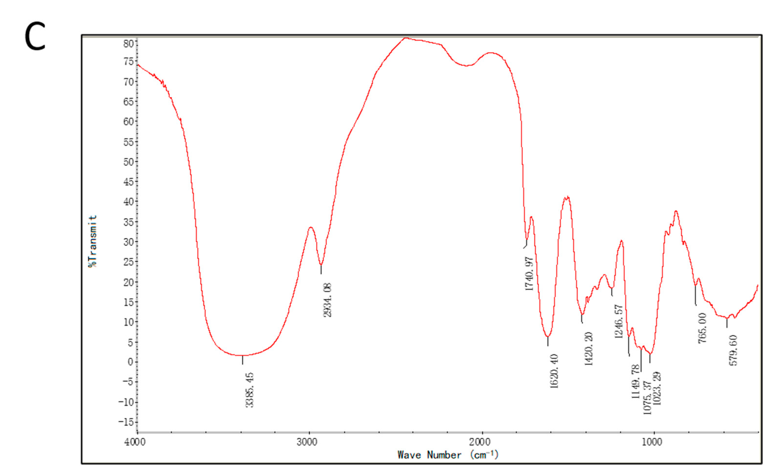 Ijms 24 06247 g001b Ijms 24 06247 g001b