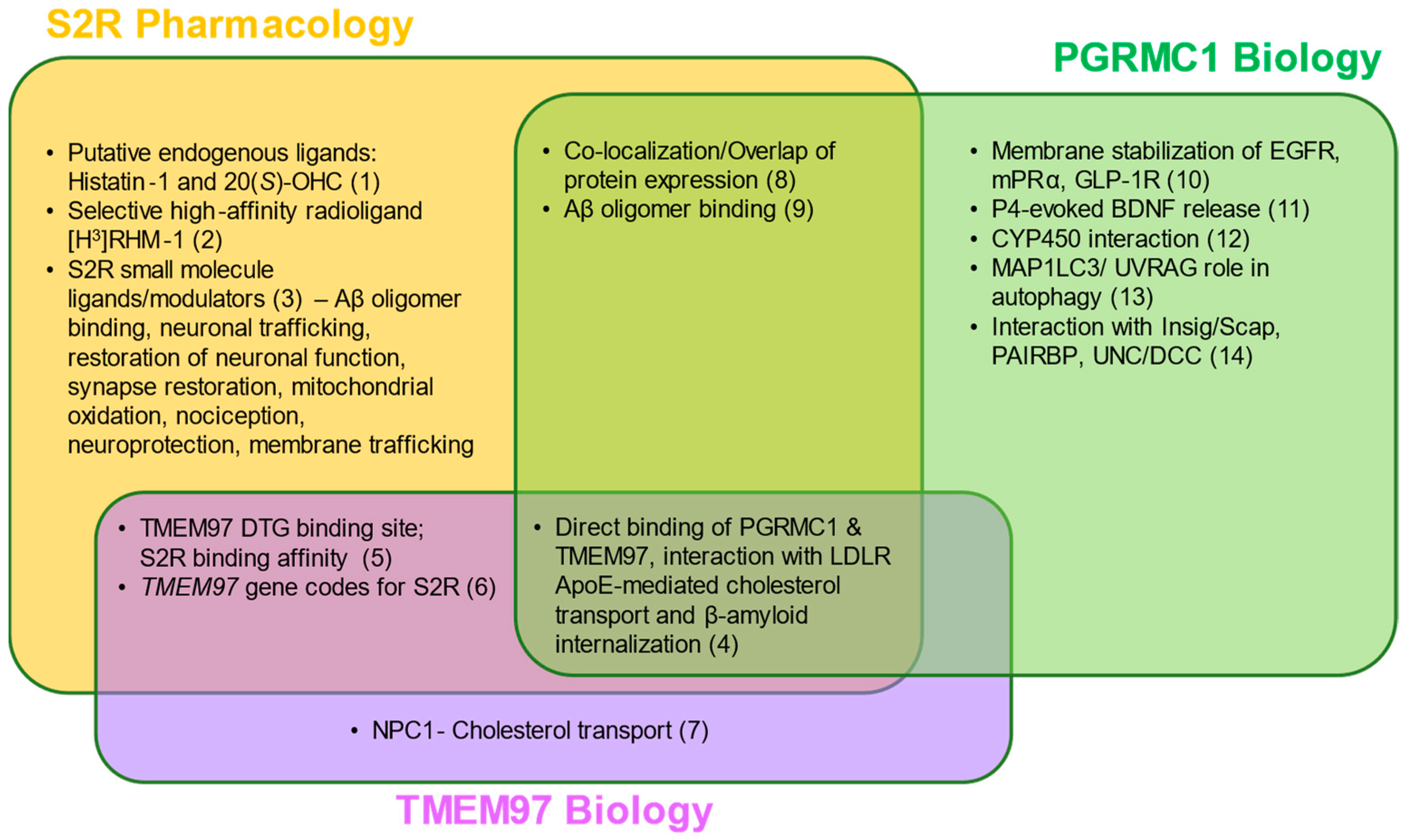 Ijms 24 06251 g002 Ijms 24 06251 g002