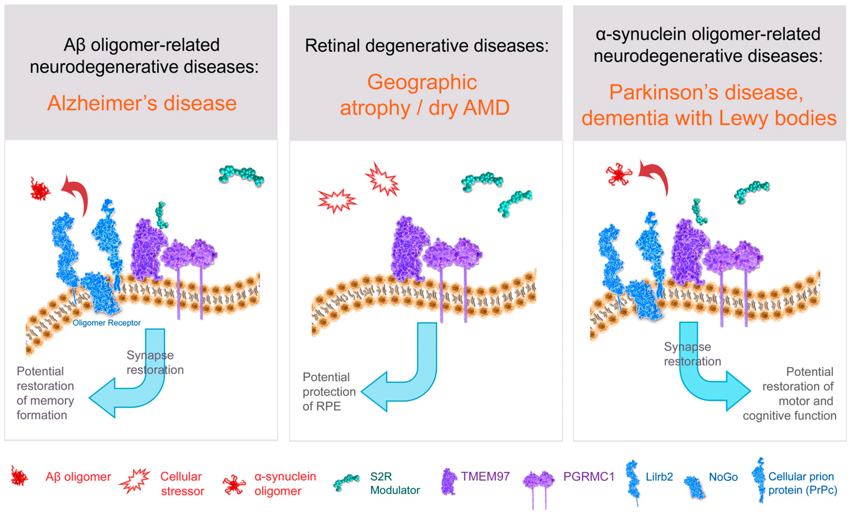Ijms 24 06251 g003 Ijms 24 06251 g003