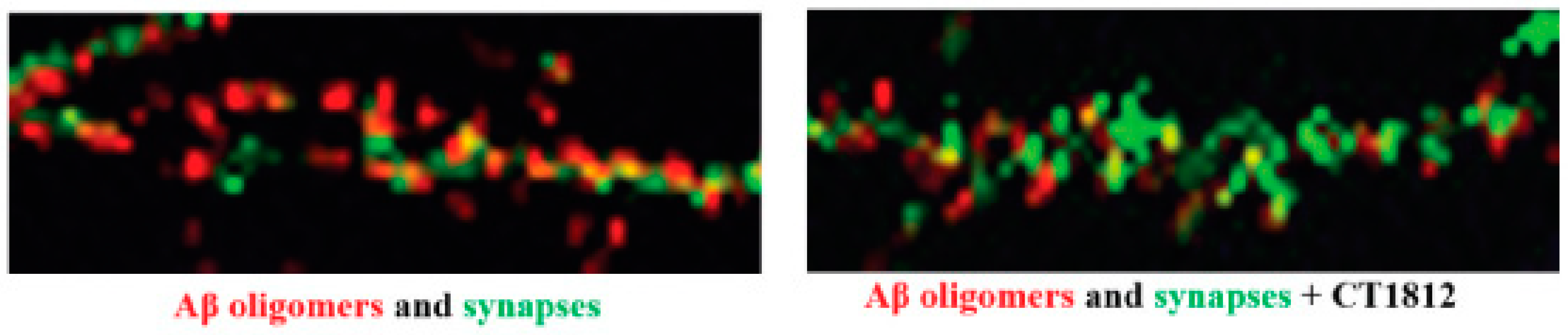 Ijms 24 06251 g004 Ijms 24 06251 g004