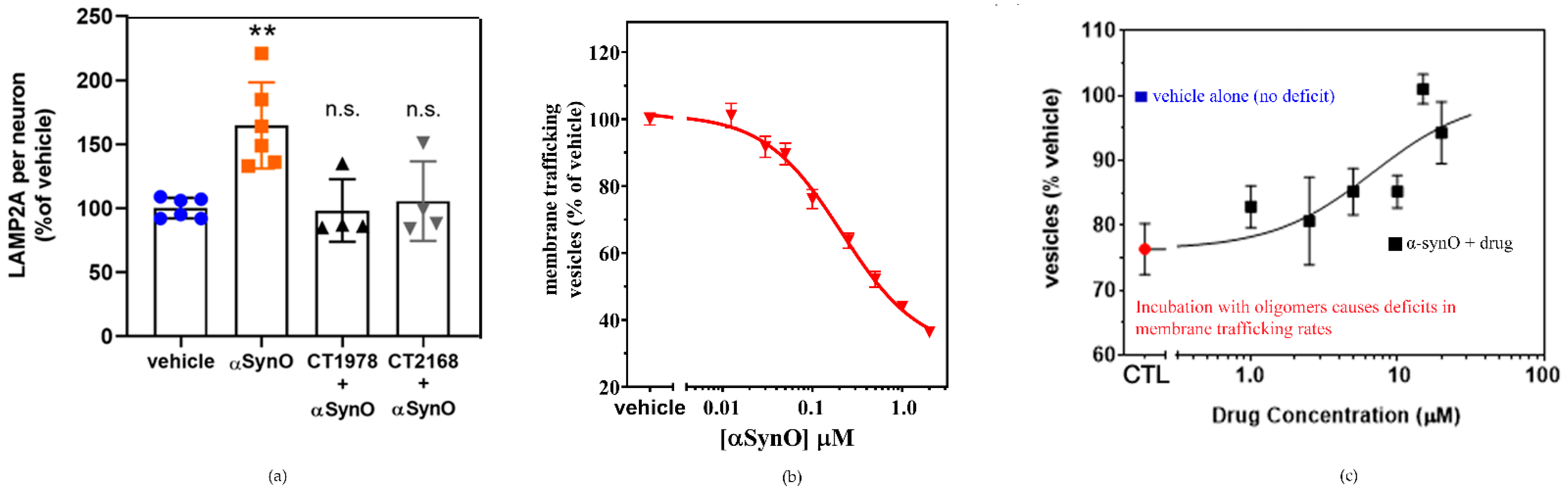 Ijms 24 06251 g008 Ijms 24 06251 g008
