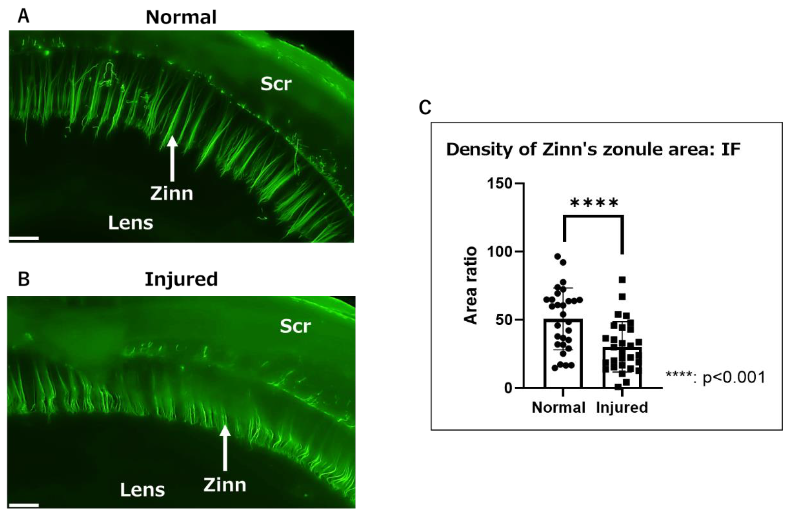Ijms 24 06254 g001 Ijms 24 06254 g001