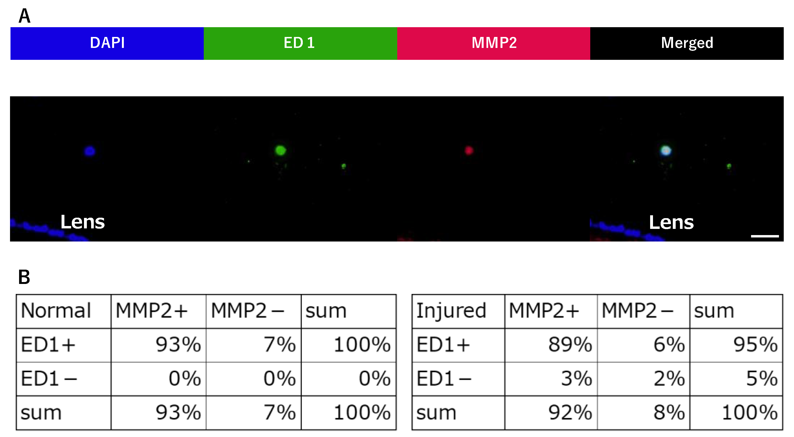 Ijms 24 06254 g003 Ijms 24 06254 g003