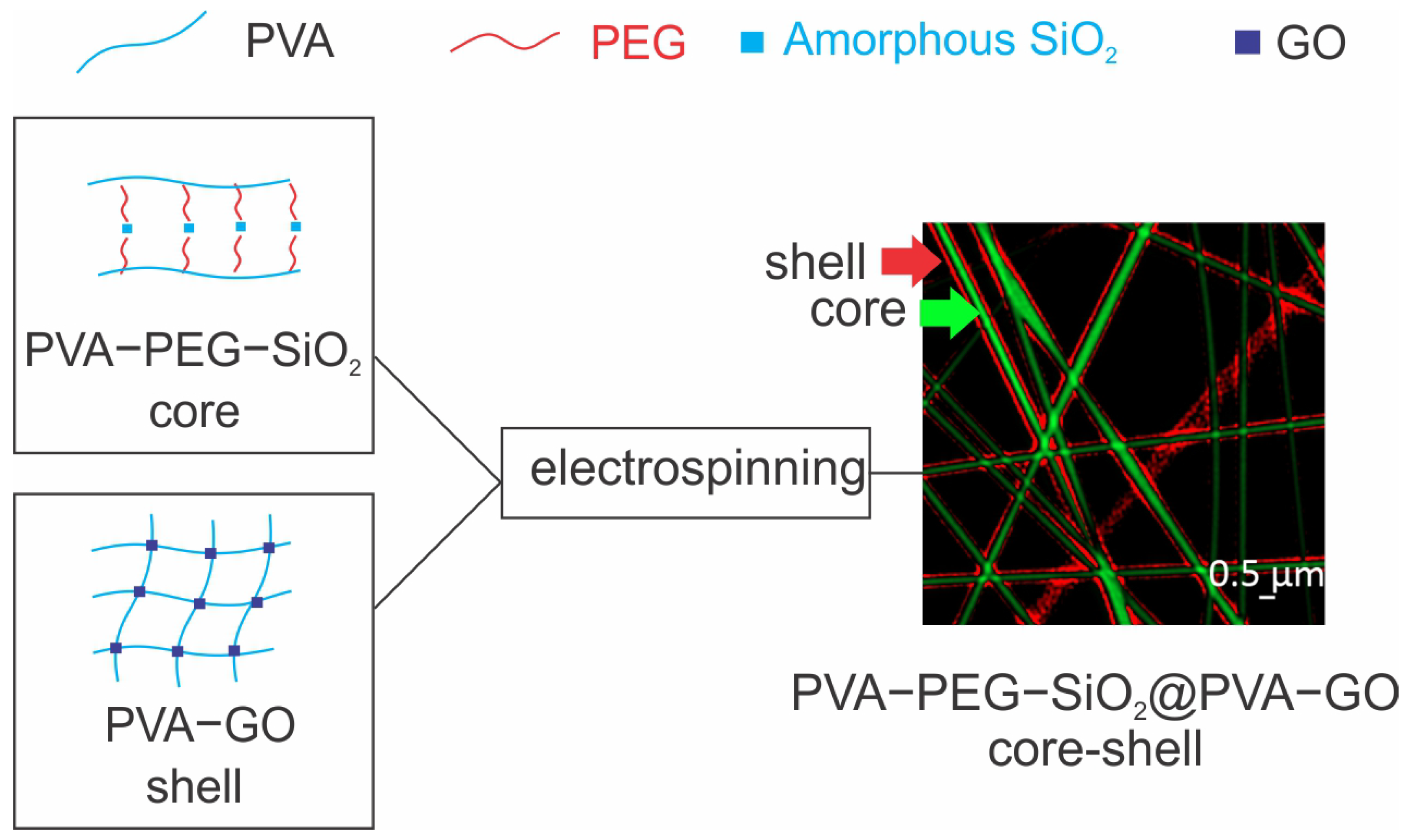 Ijms 24 06255 g001 Ijms 24 06255 g001