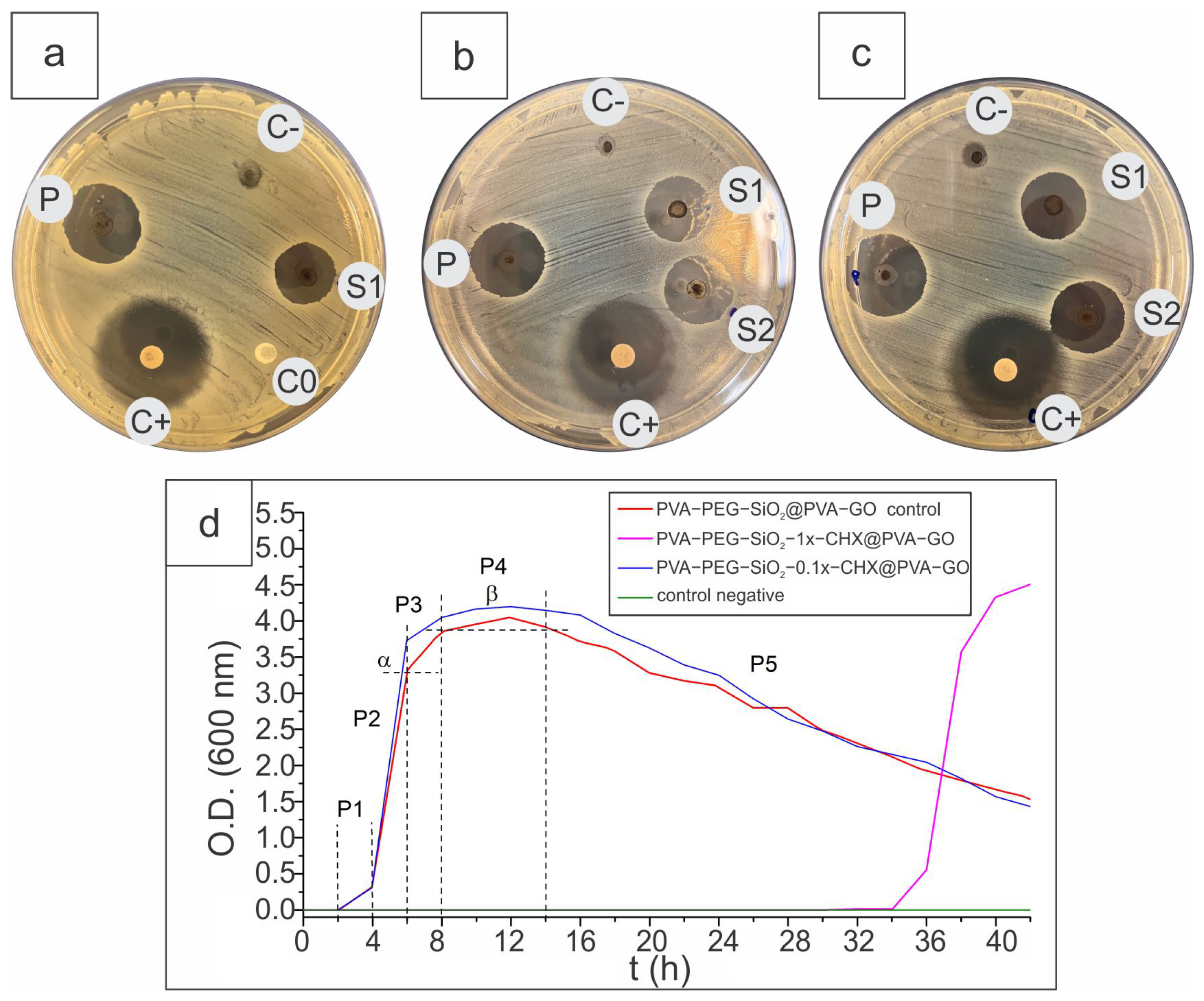 Ijms 24 06255 g011 Ijms 24 06255 g011