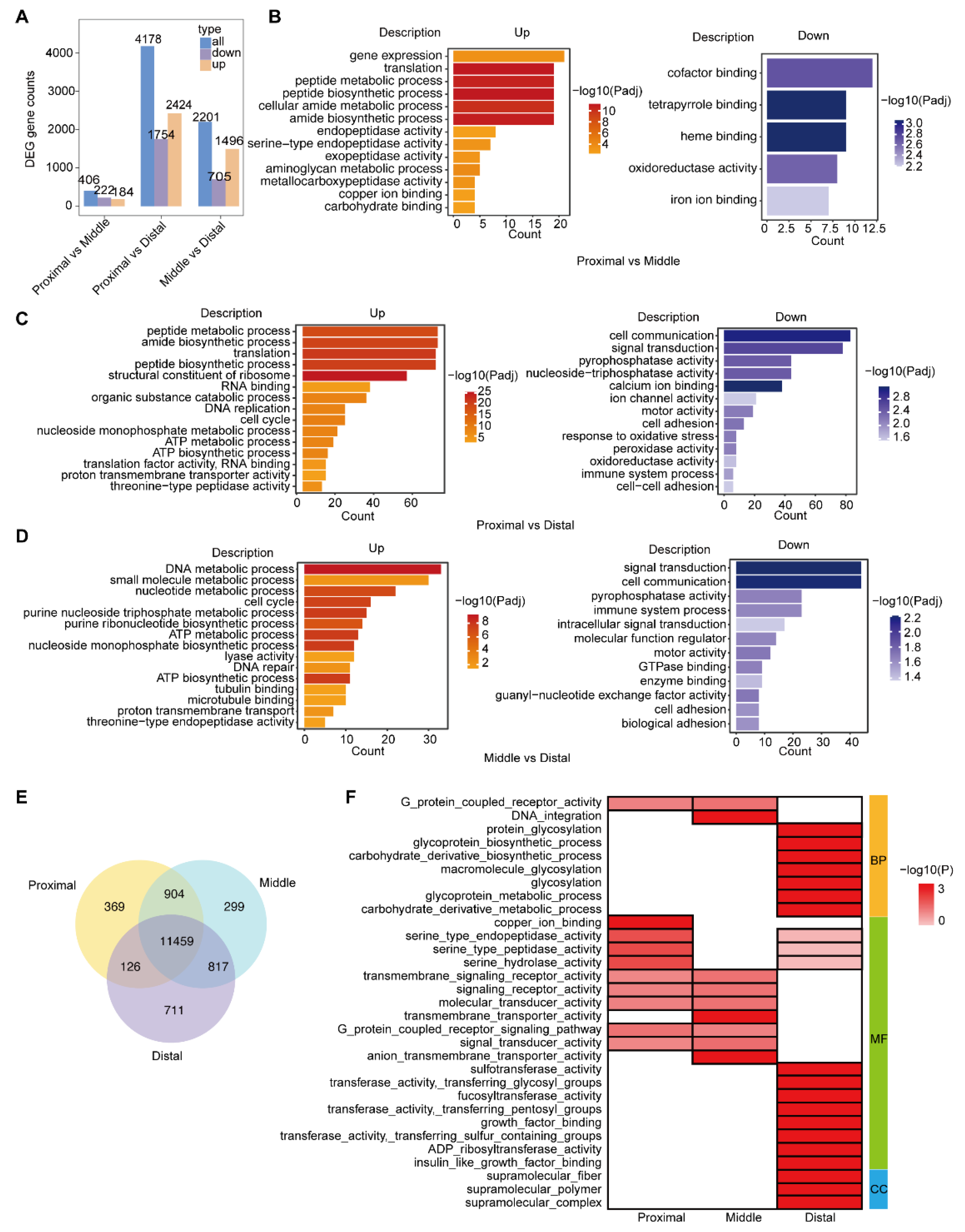 Ijms 24 06270 g002 Ijms 24 06270 g002