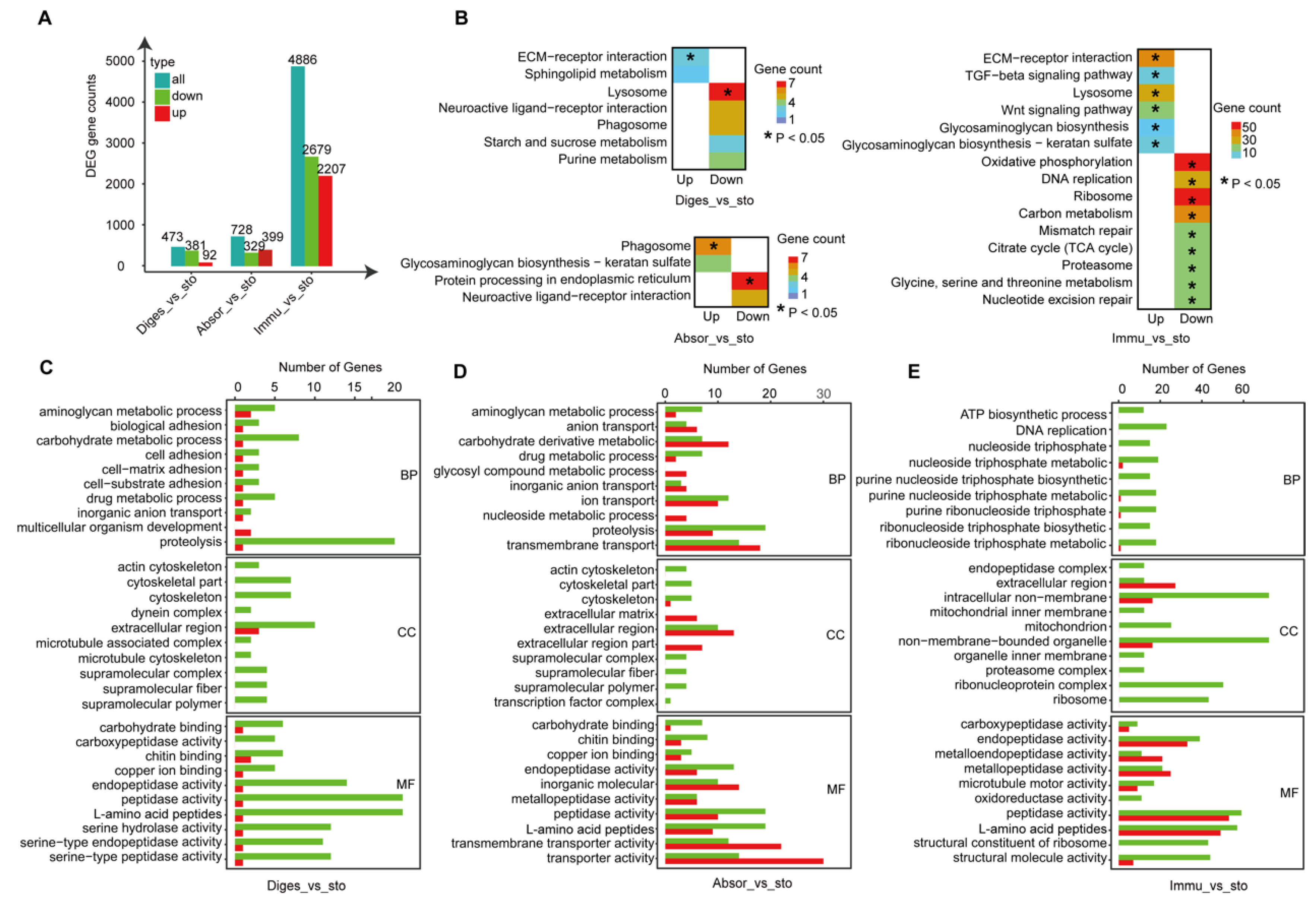 Ijms 24 06270 g003 Ijms 24 06270 g003