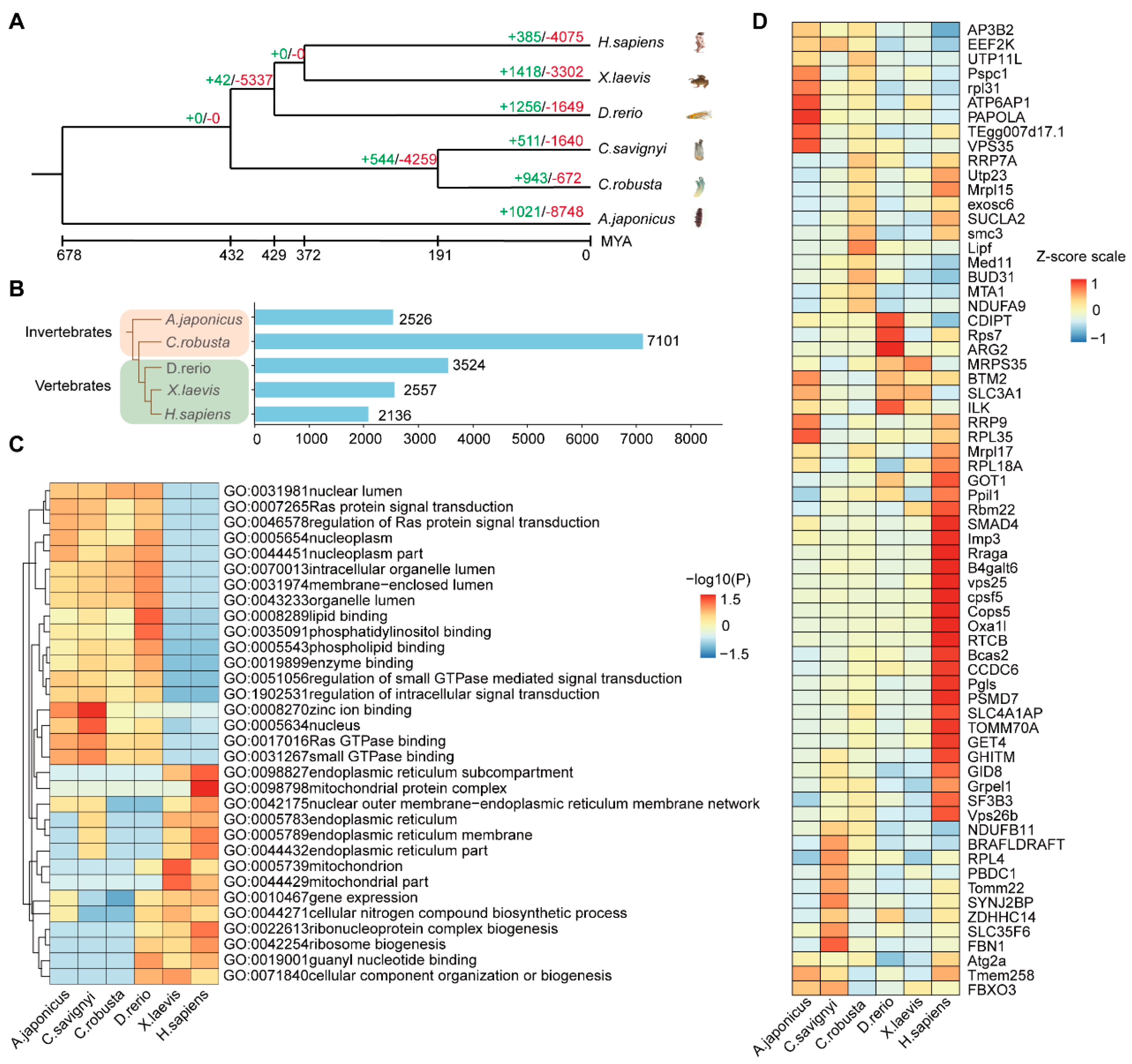Ijms 24 06270 g005 Ijms 24 06270 g005