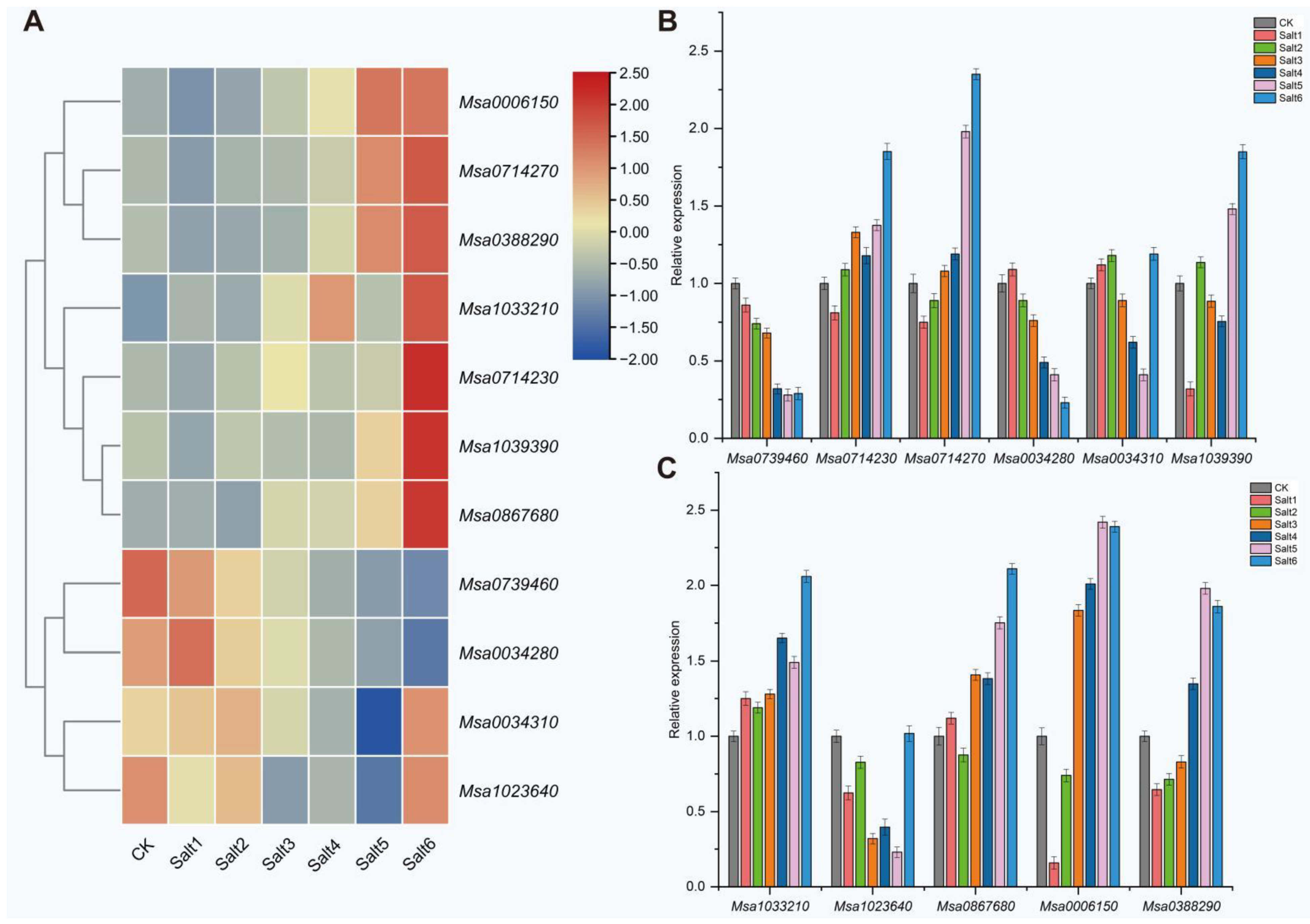 Ijms 24 06271 g005 Ijms 24 06271 g005