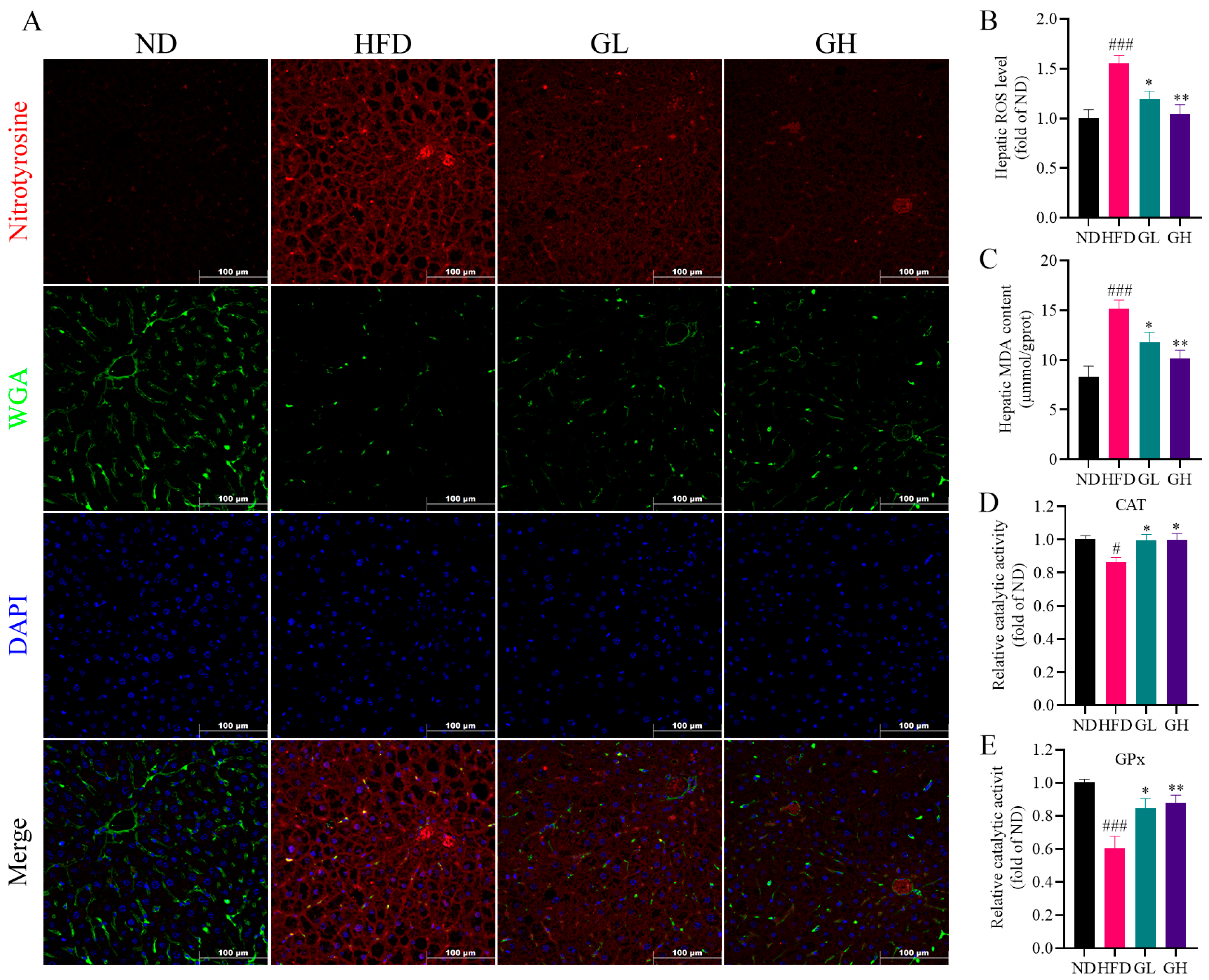 Ijms 24 06285 g003 Ijms 24 06285 g003