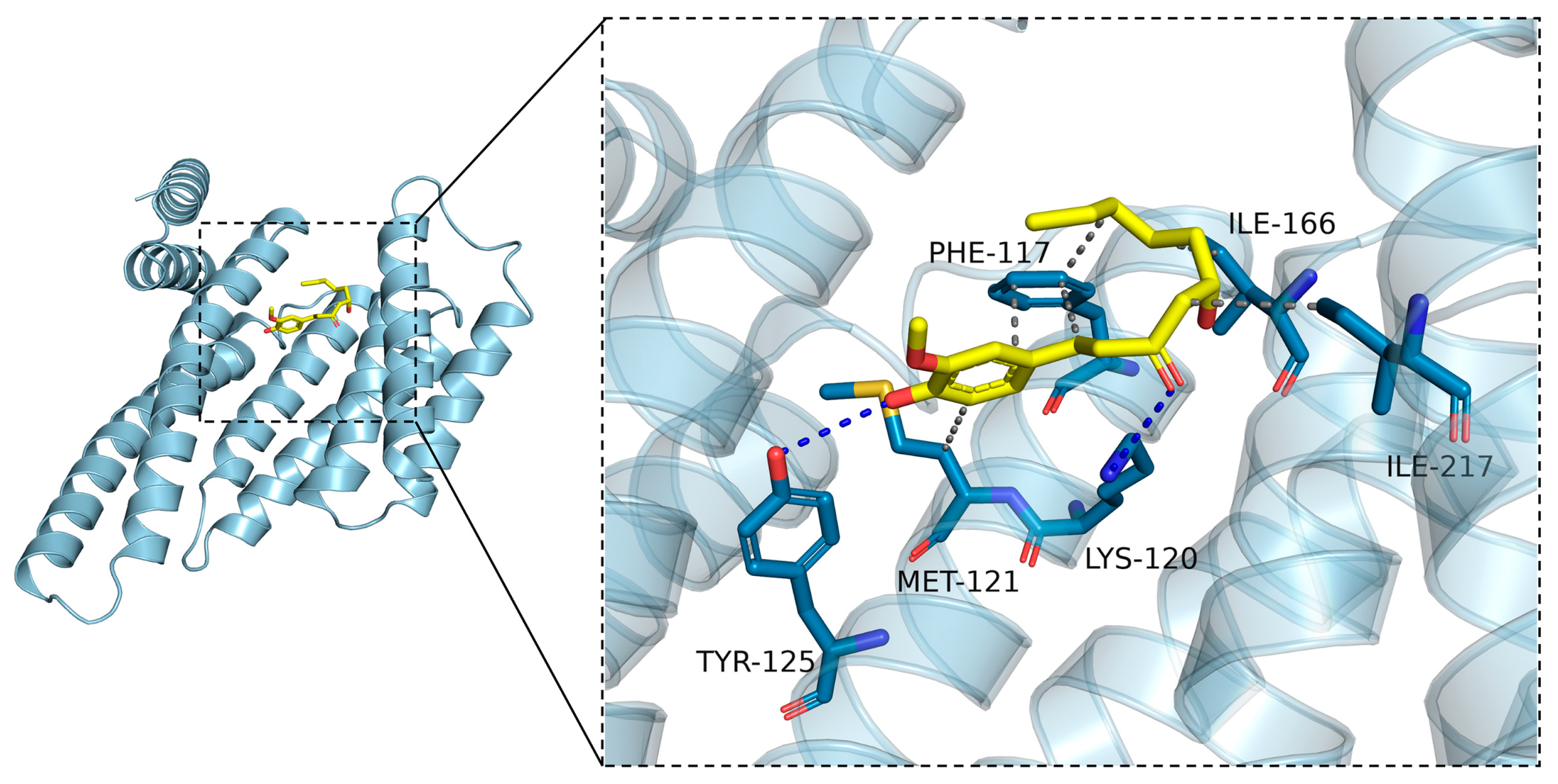 Ijms 24 06285 g008 Ijms 24 06285 g008