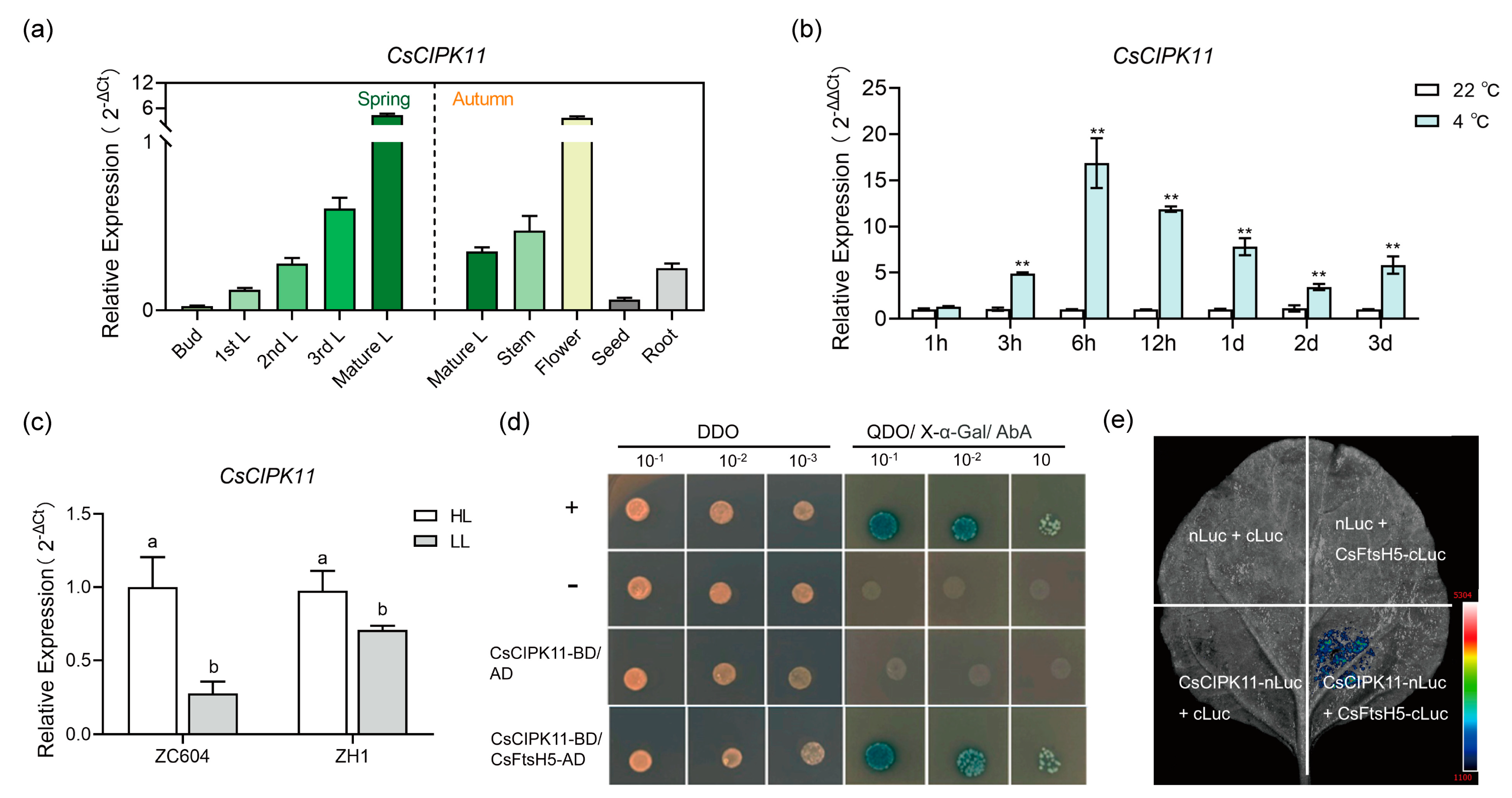 Ijms 24 06288 g004 Ijms 24 06288 g004