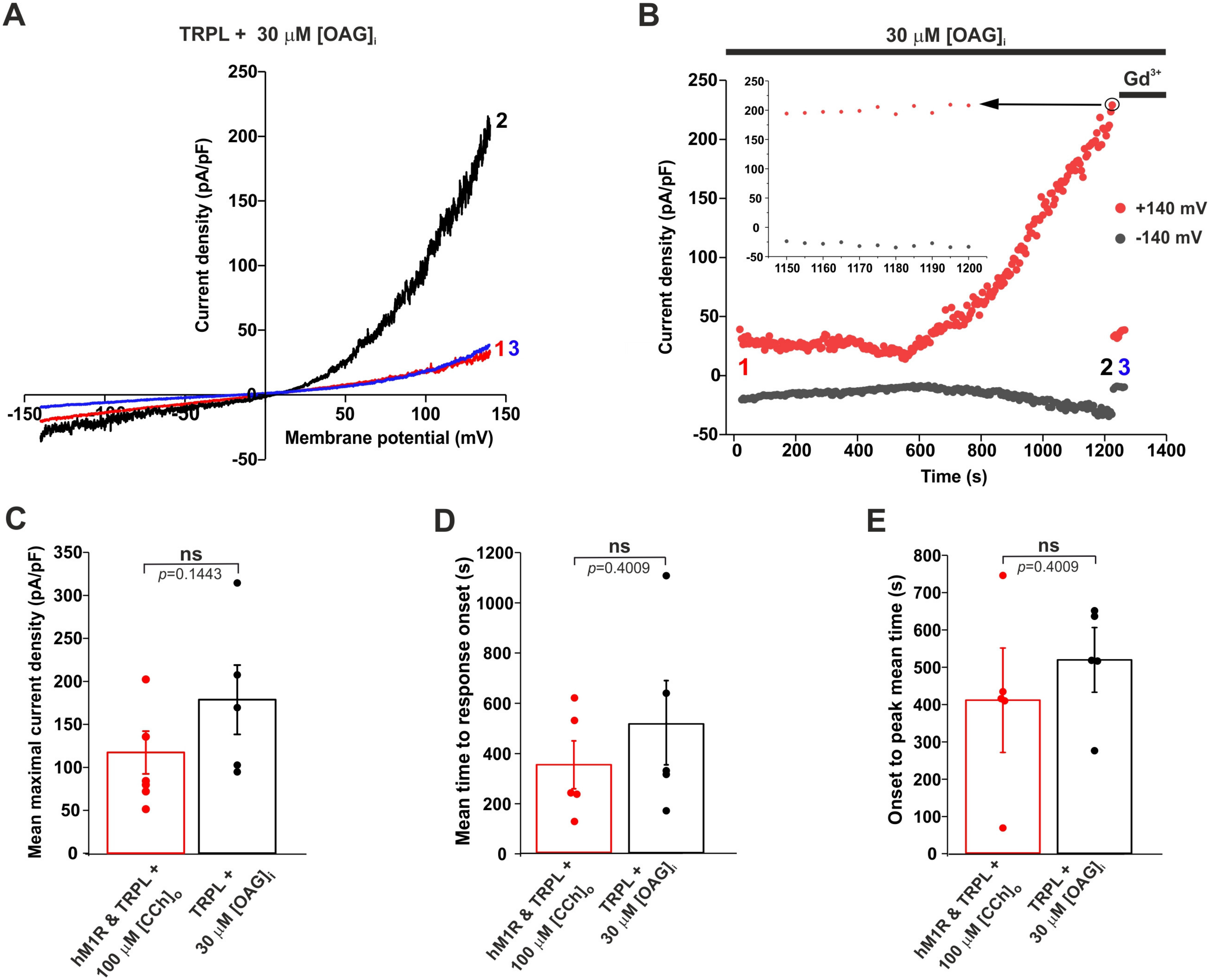 Ijms 24 06289 g002 Ijms 24 06289 g002