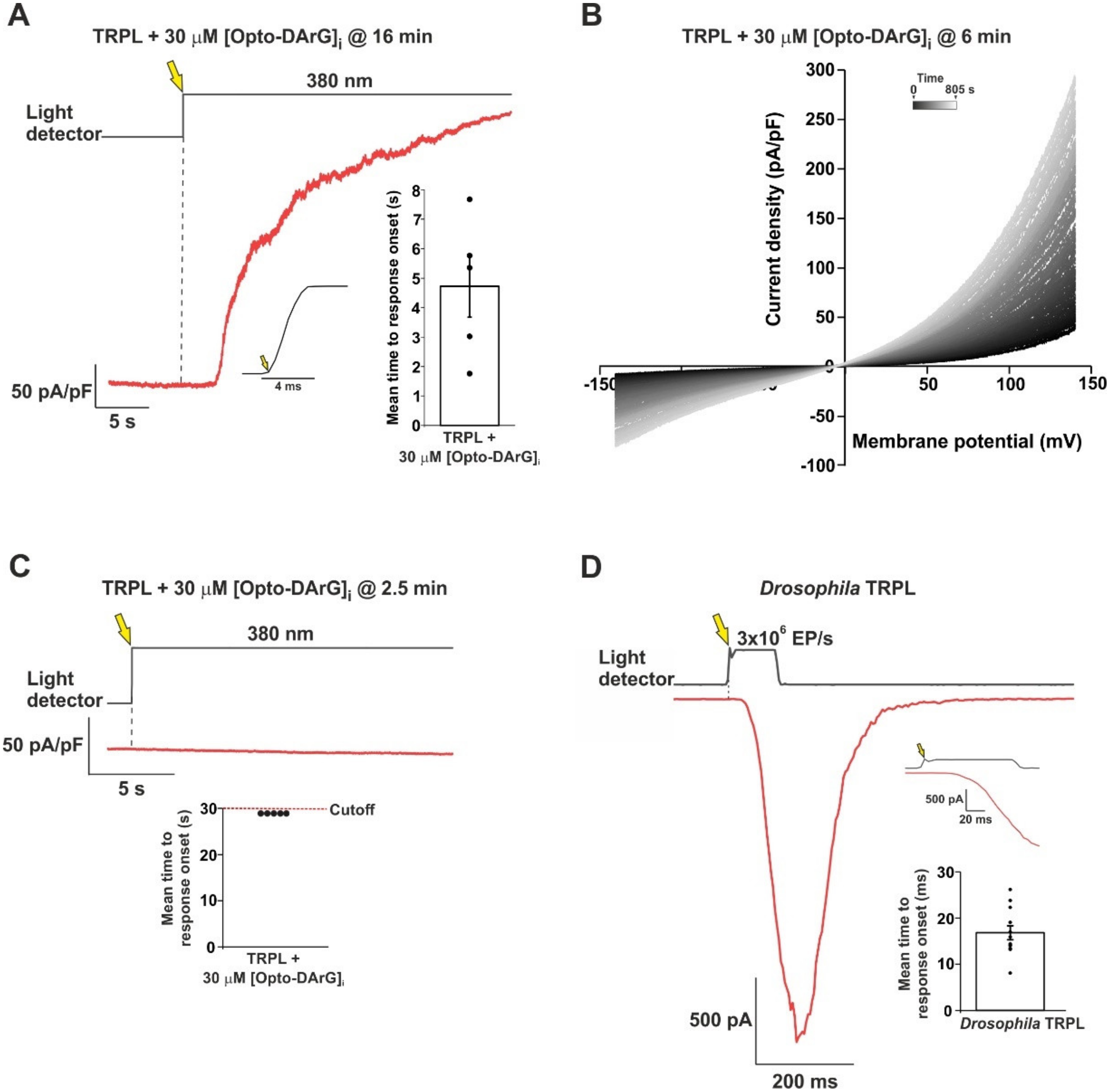 Ijms 24 06289 g003 Ijms 24 06289 g003