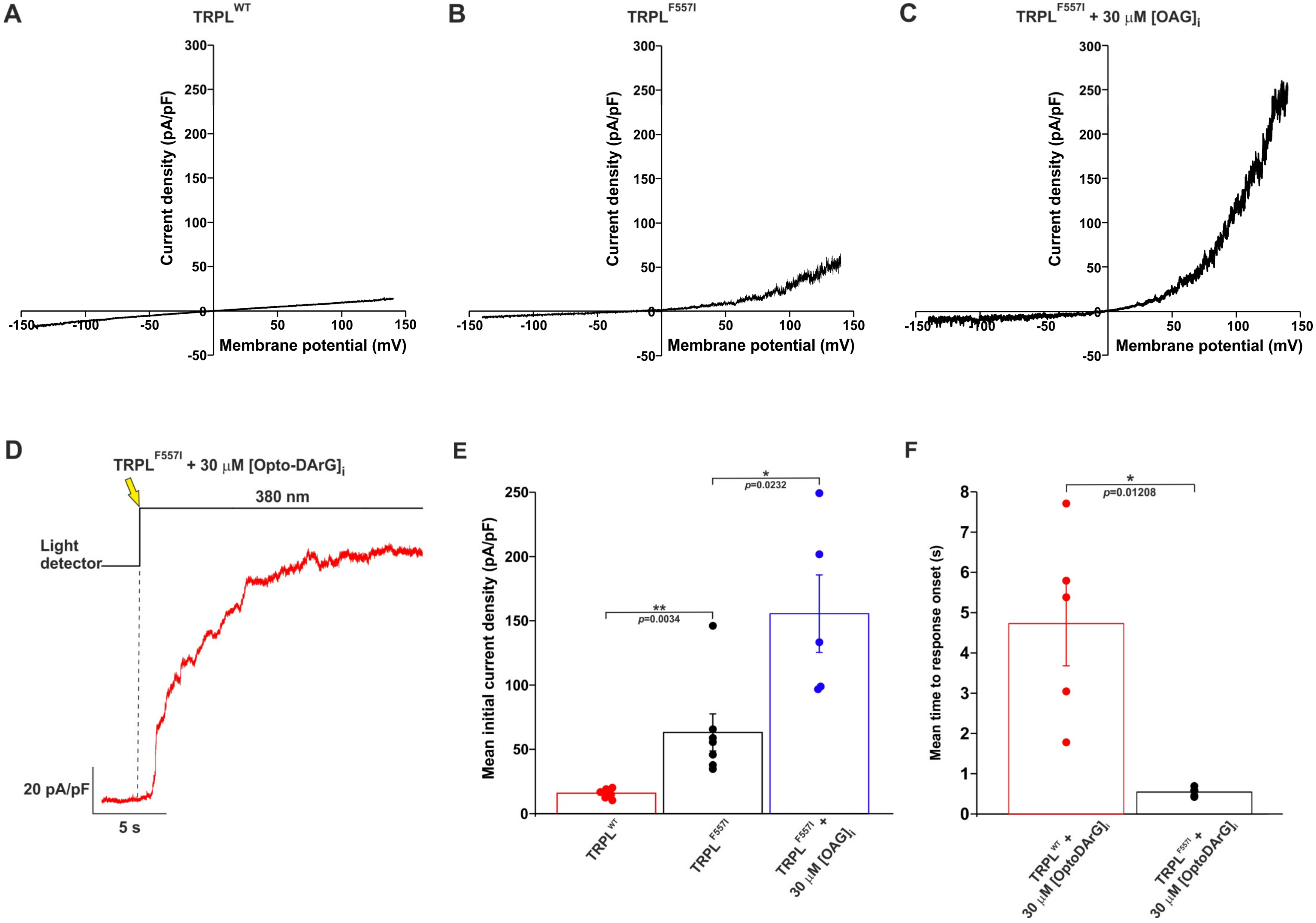 Ijms 24 06289 g004 Ijms 24 06289 g004