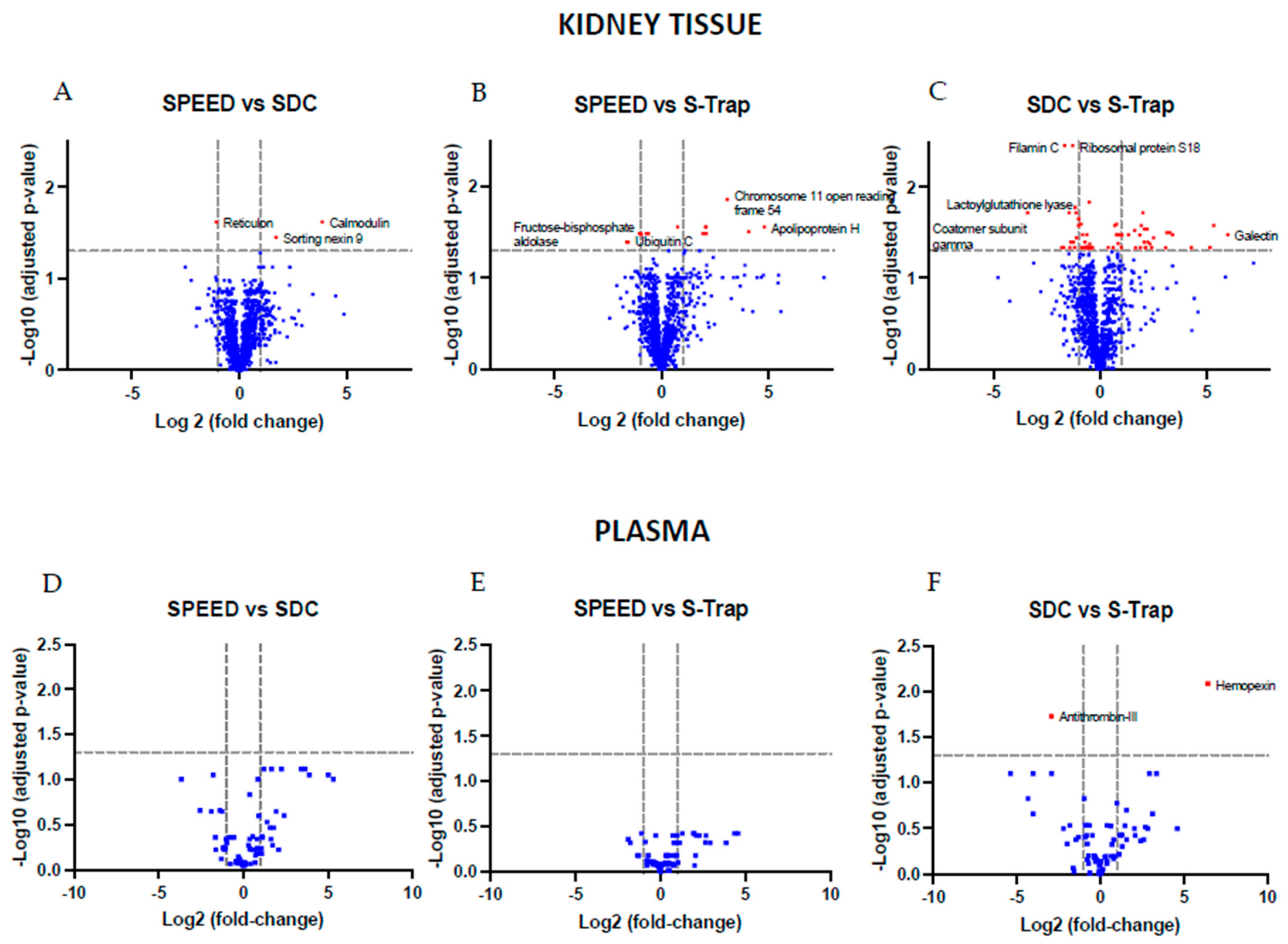 Ijms 24 06290 g002 Ijms 24 06290 g002