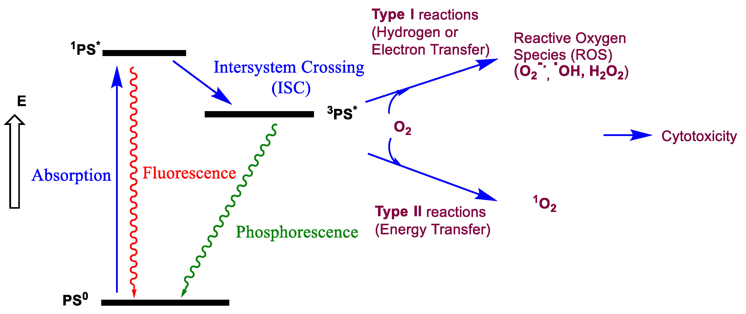 Ijms 24 06308 g002 Ijms 24 06308 g002