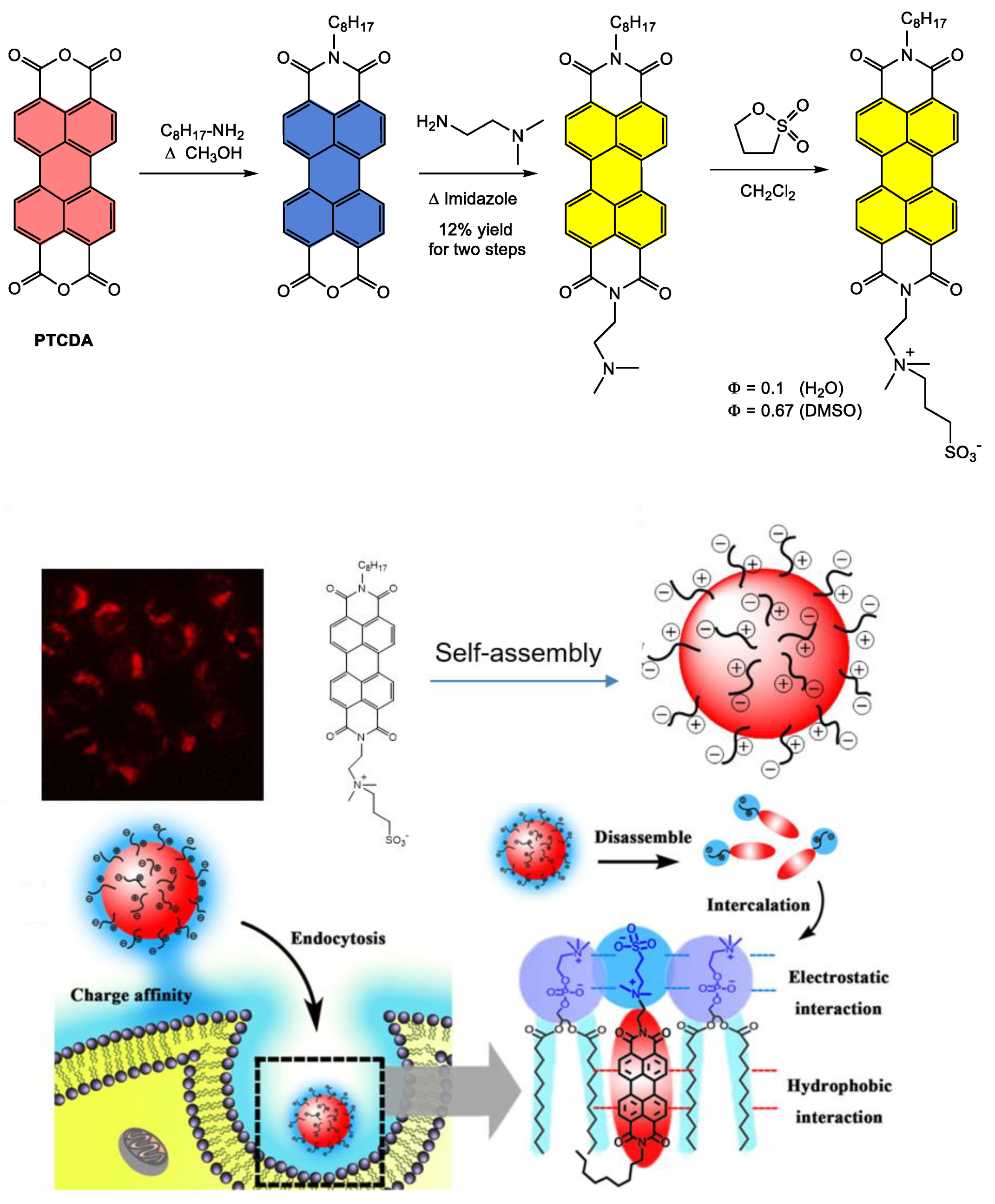Ijms 24 06308 g003 Ijms 24 06308 g003
