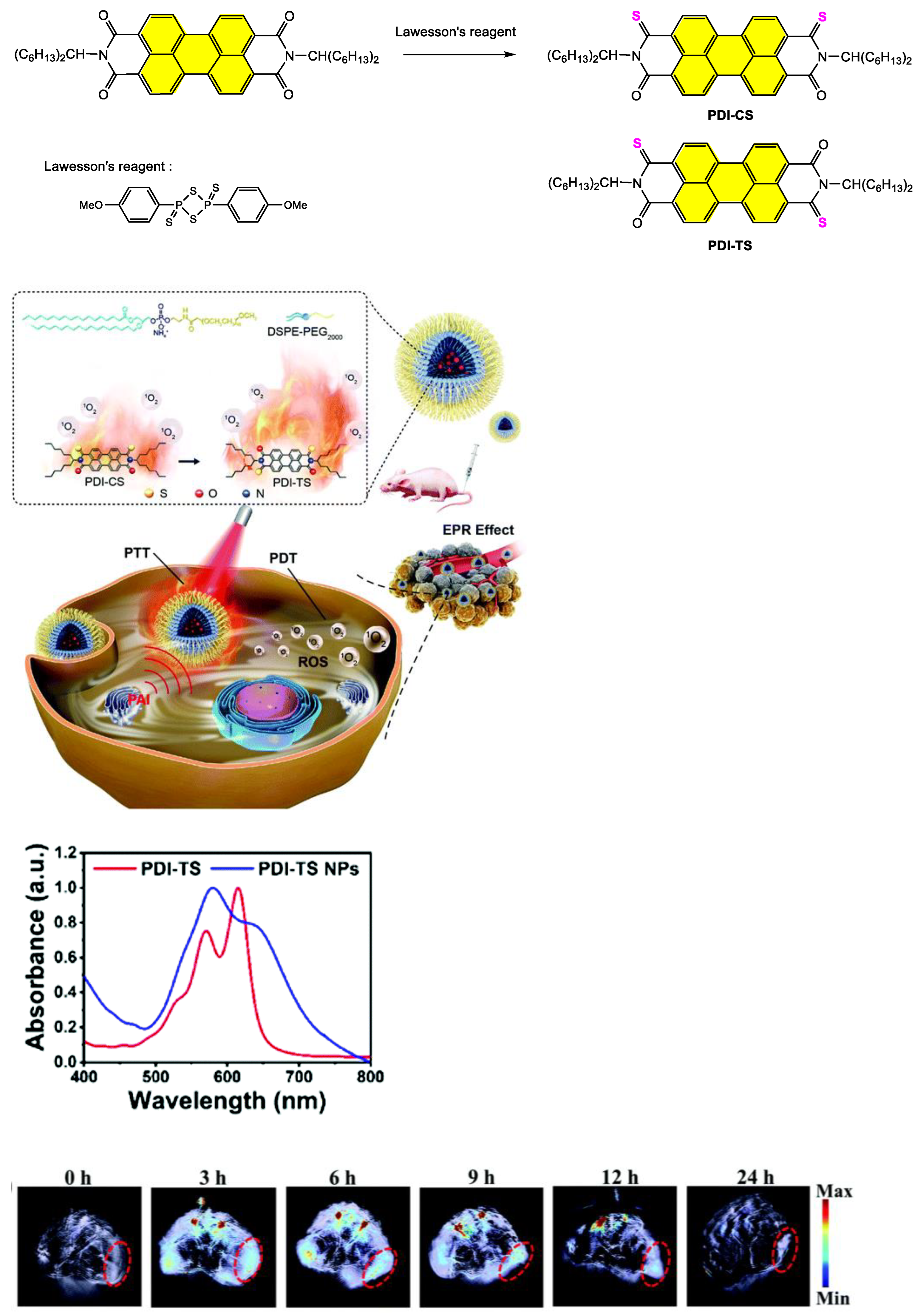 Ijms 24 06308 g004 Ijms 24 06308 g004