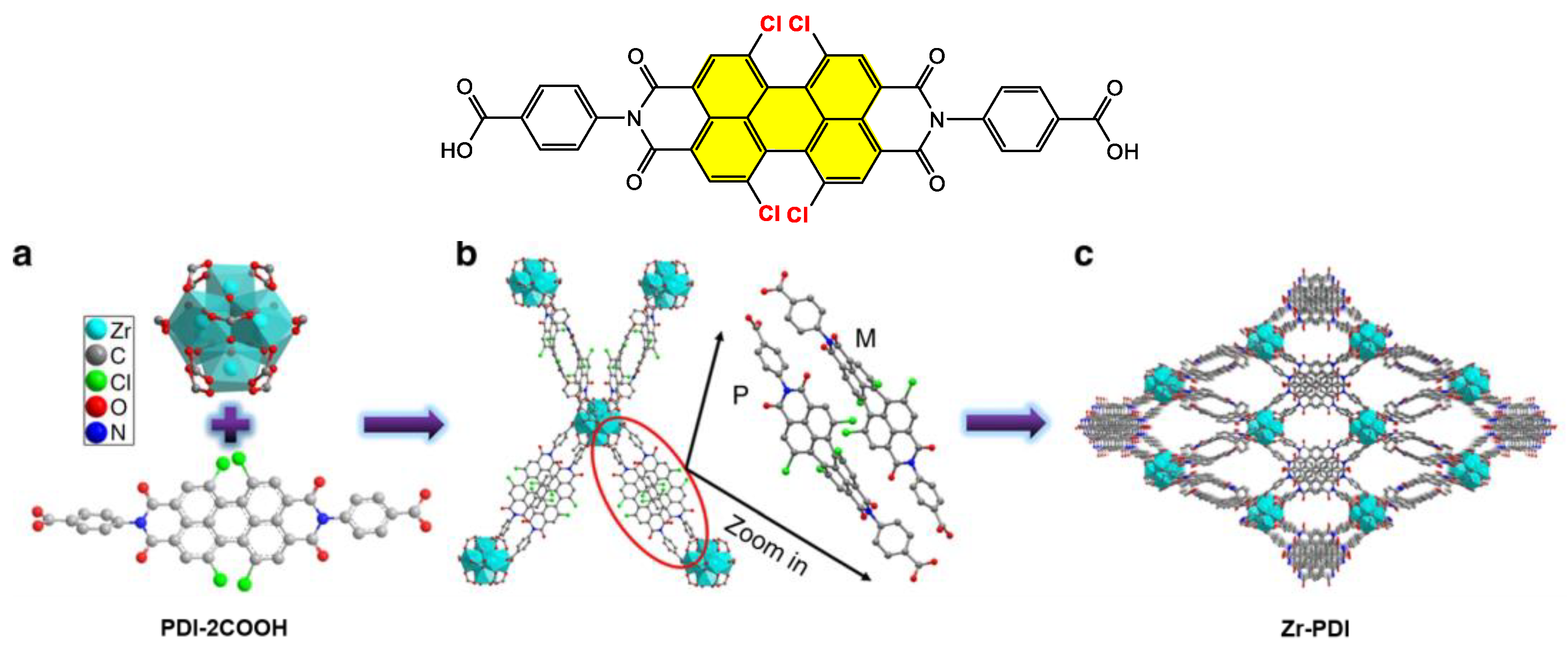 Ijms 24 06308 g011 Ijms 24 06308 g011