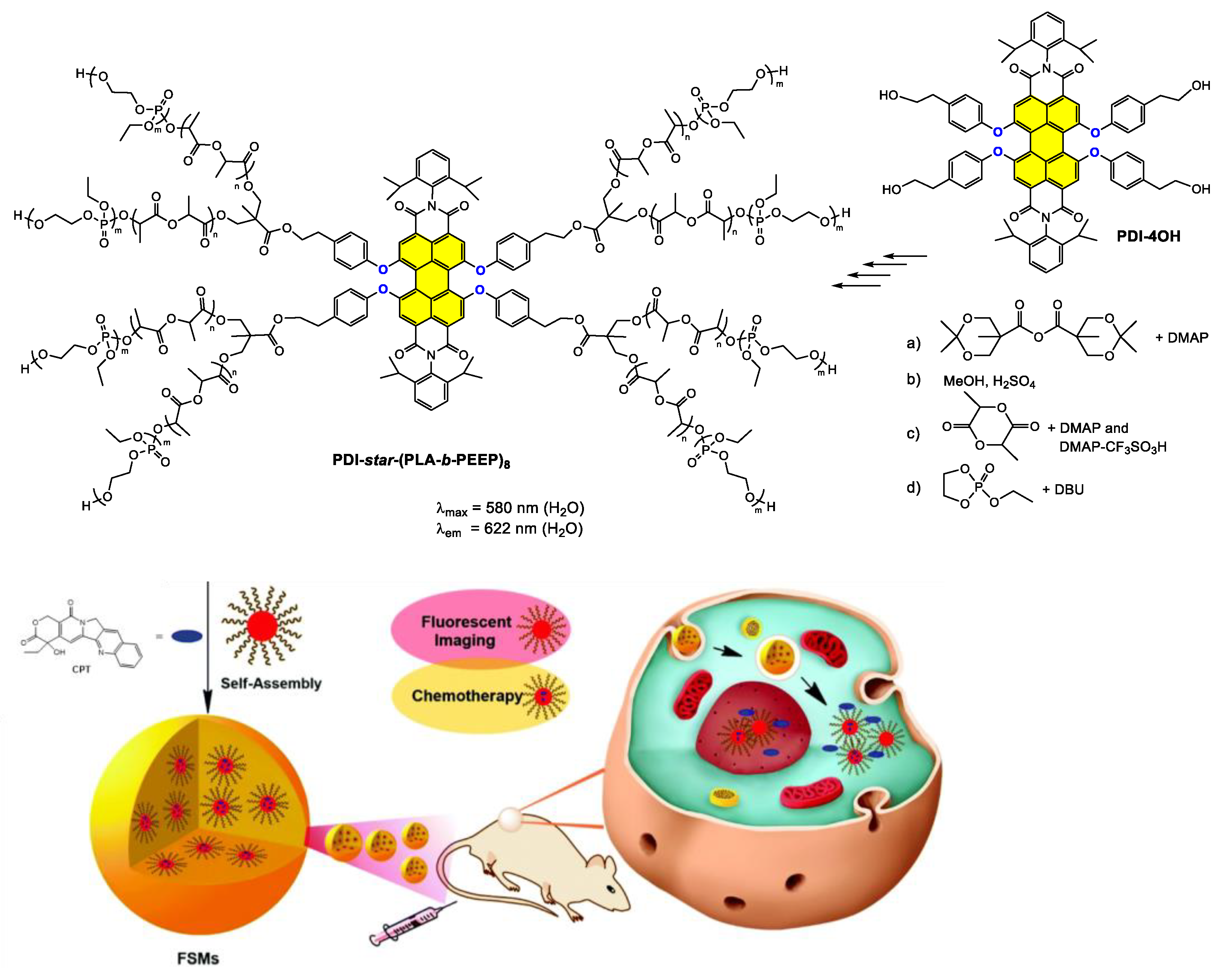 Ijms 24 06308 g015 Ijms 24 06308 g015