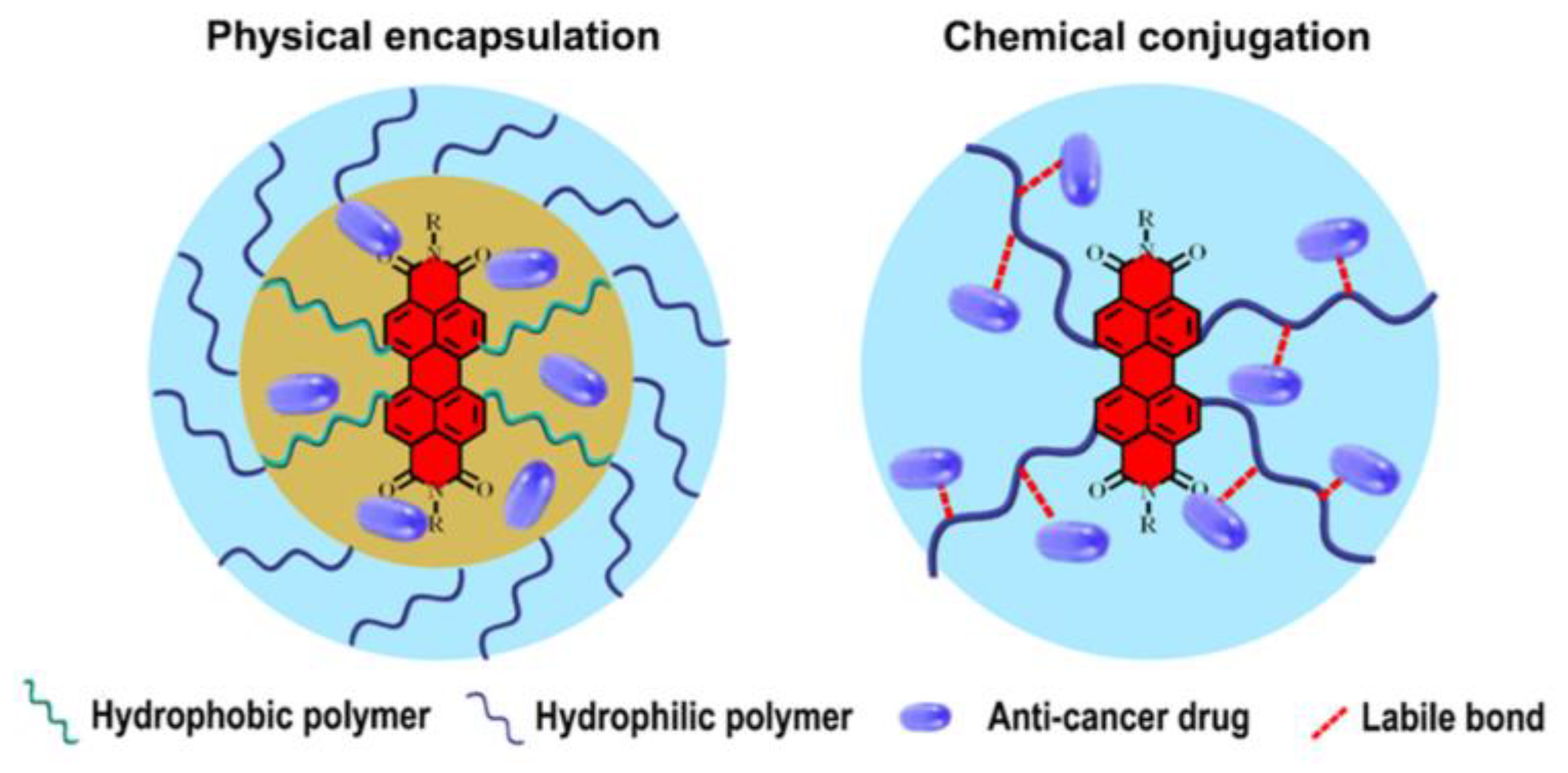 Ijms 24 06308 g016 Ijms 24 06308 g016