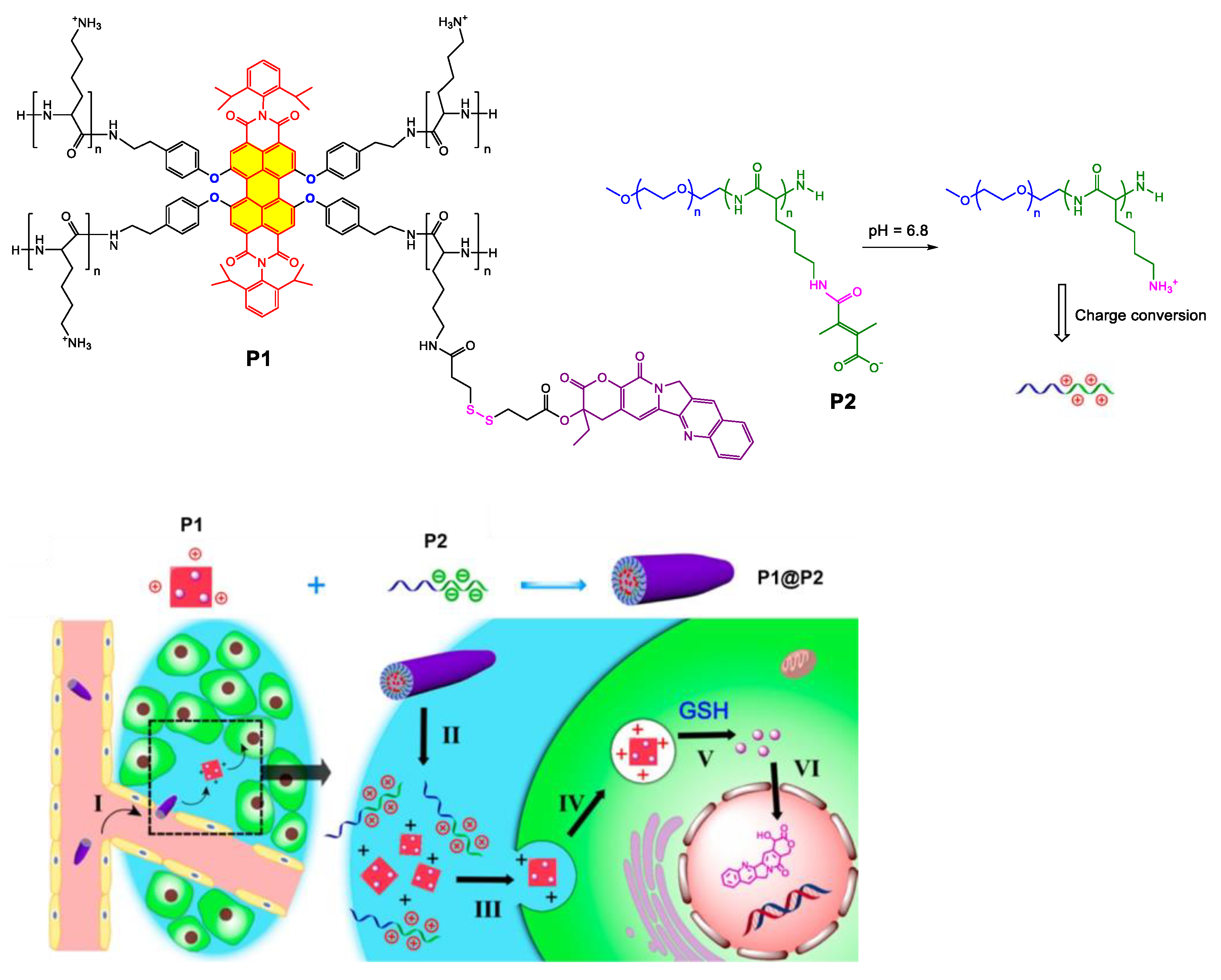 Ijms 24 06308 g017 Ijms 24 06308 g017