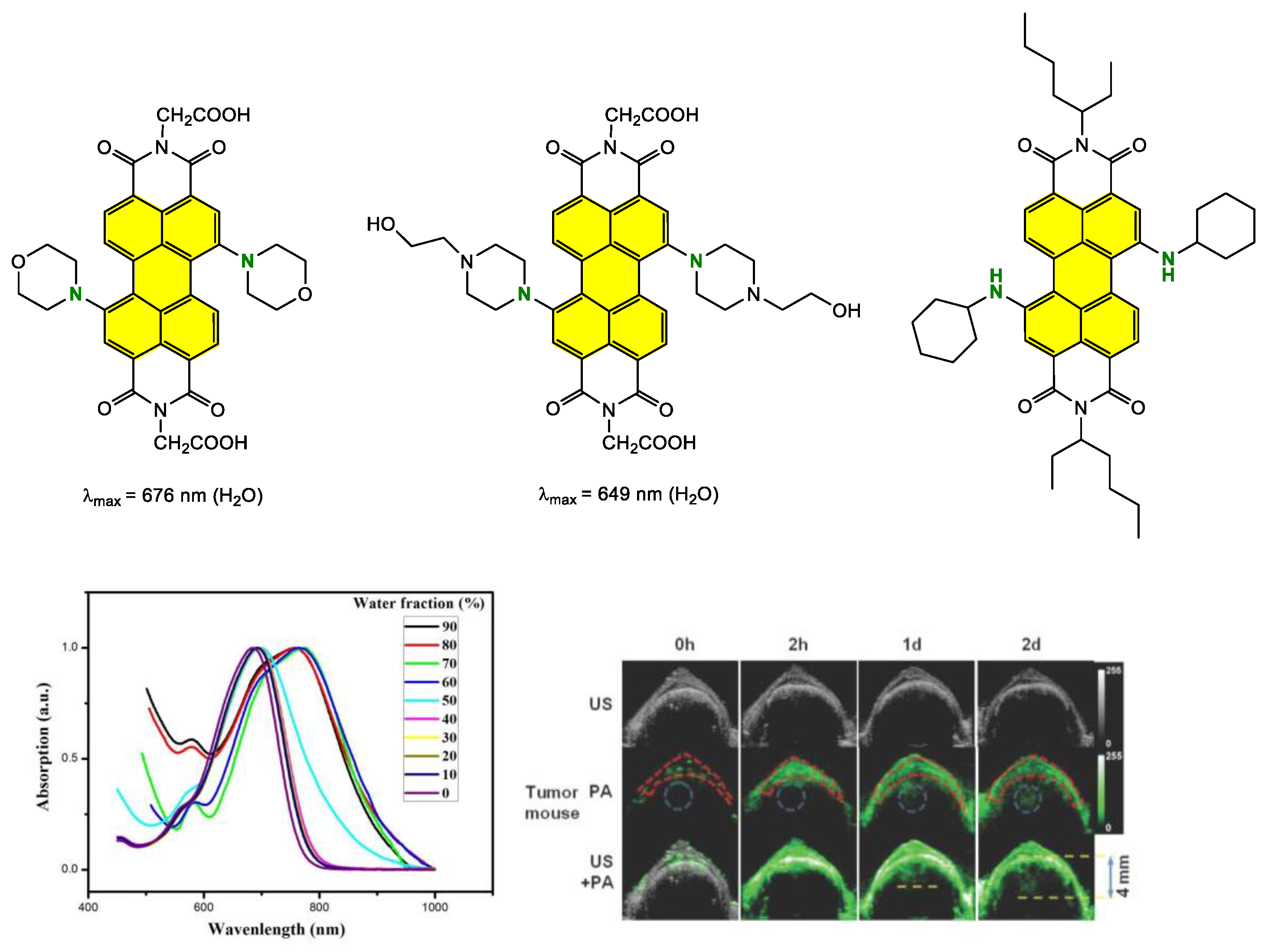 Ijms 24 06308 g018 Ijms 24 06308 g018