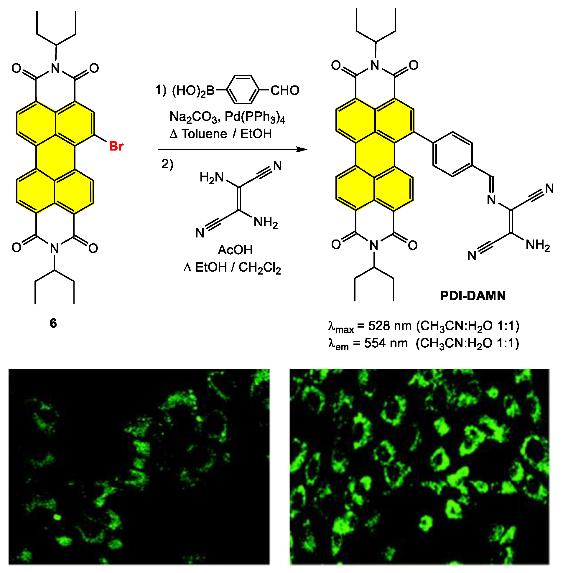 Ijms 24 06308 g019 Ijms 24 06308 g019