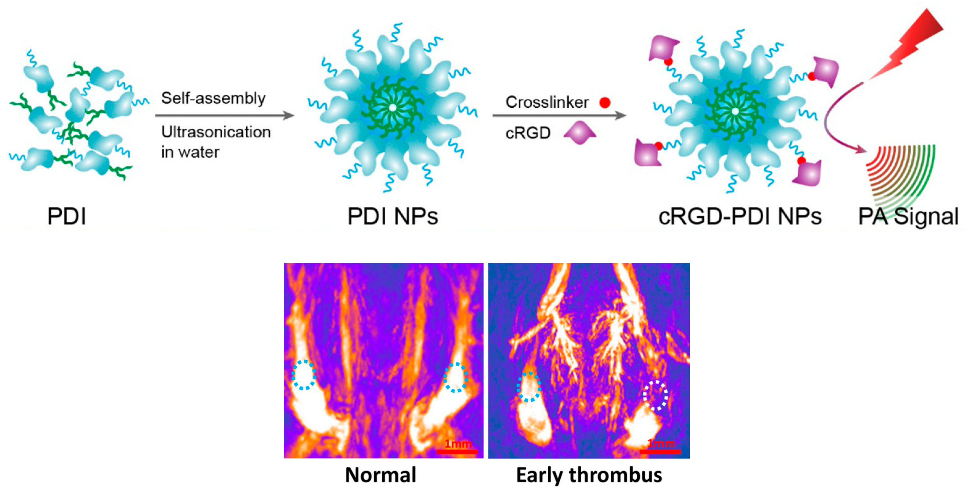 Ijms 24 06308 g021 Ijms 24 06308 g021