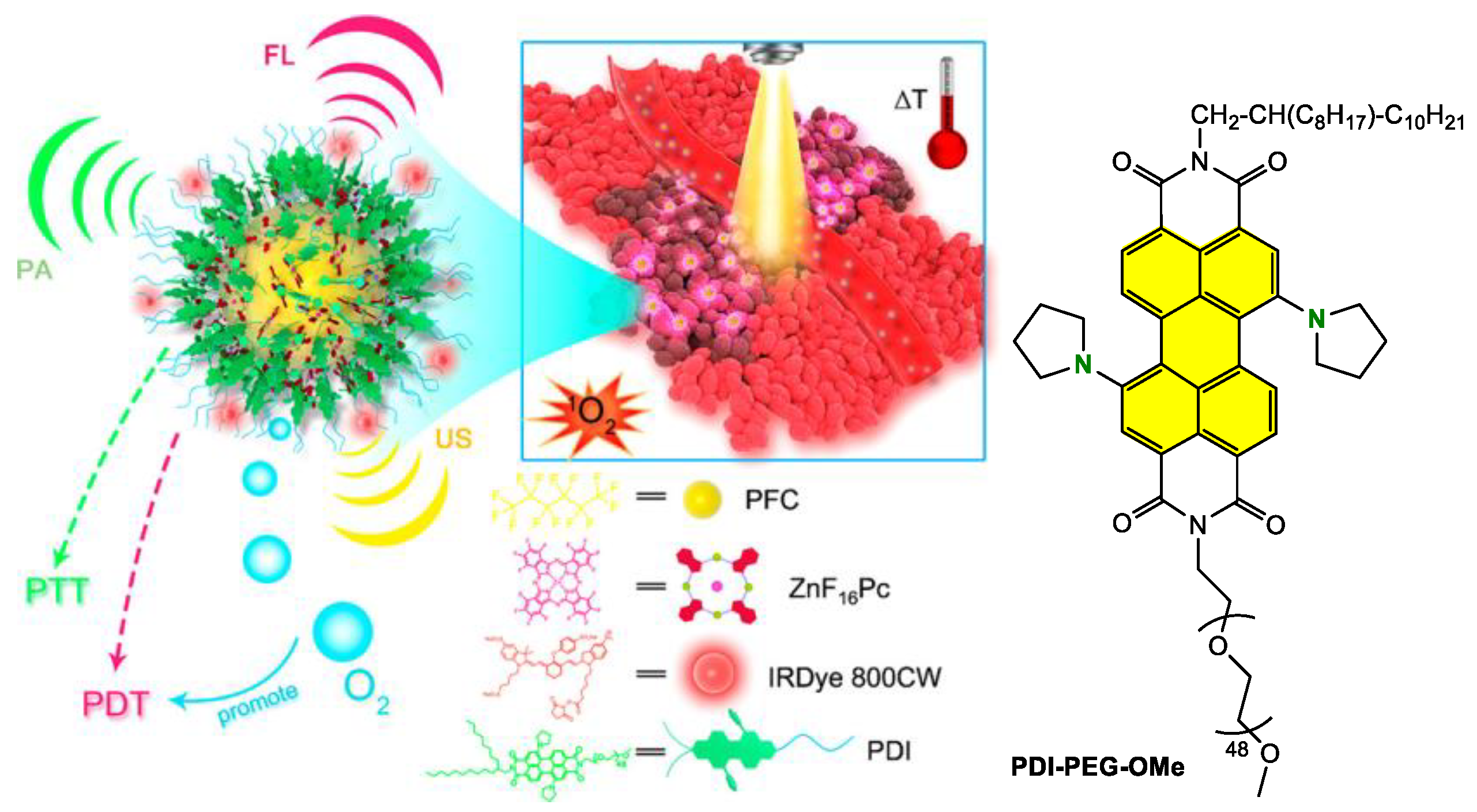 Ijms 24 06308 g022 Ijms 24 06308 g022