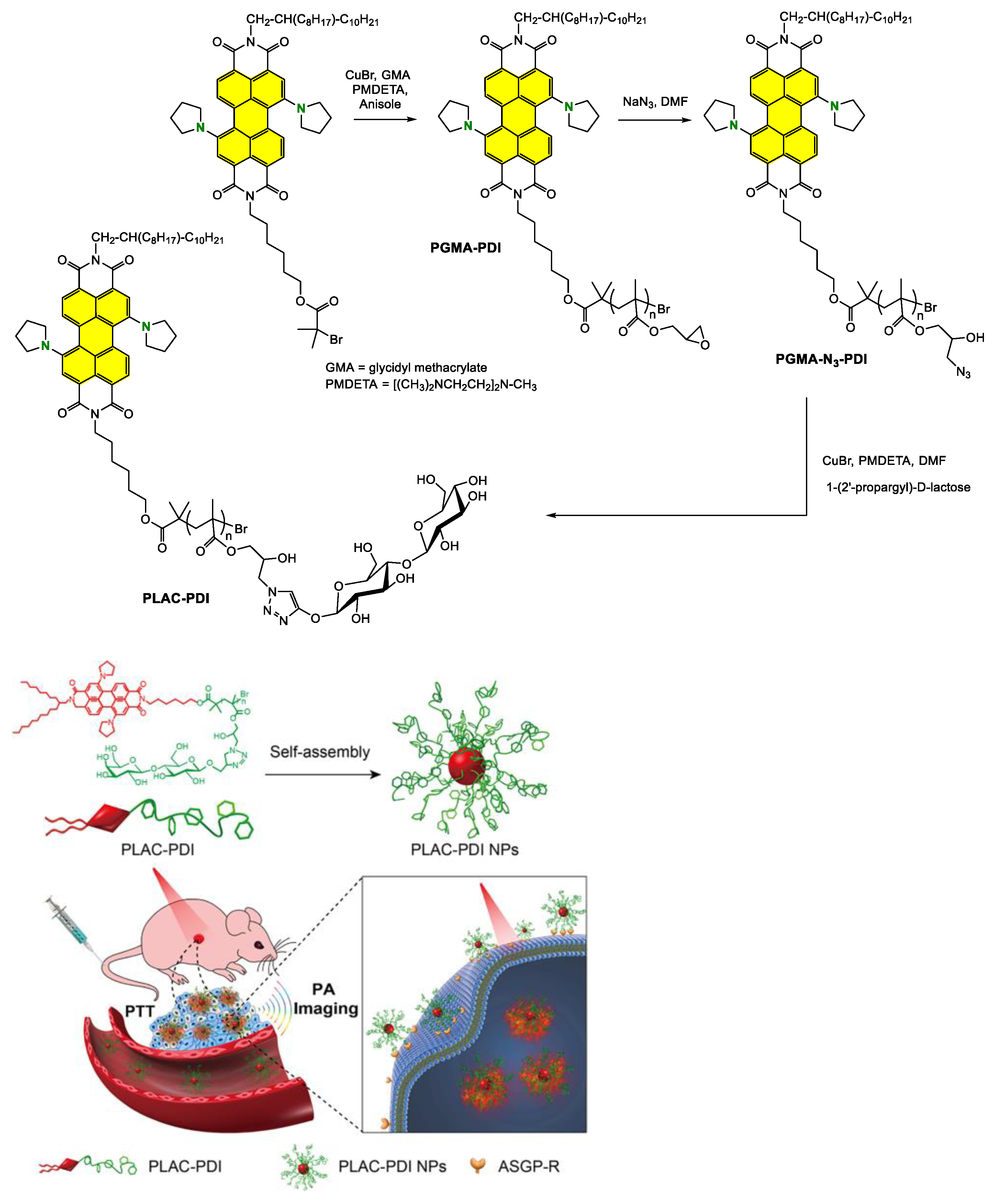 Ijms 24 06308 g023 Ijms 24 06308 g023
