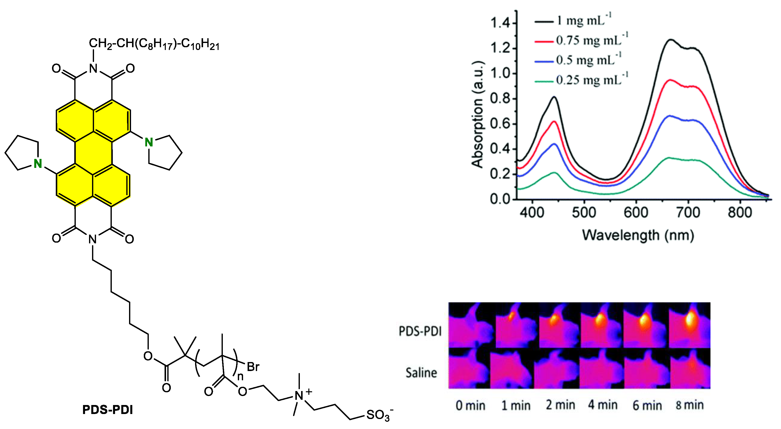 Ijms 24 06308 g024 Ijms 24 06308 g024