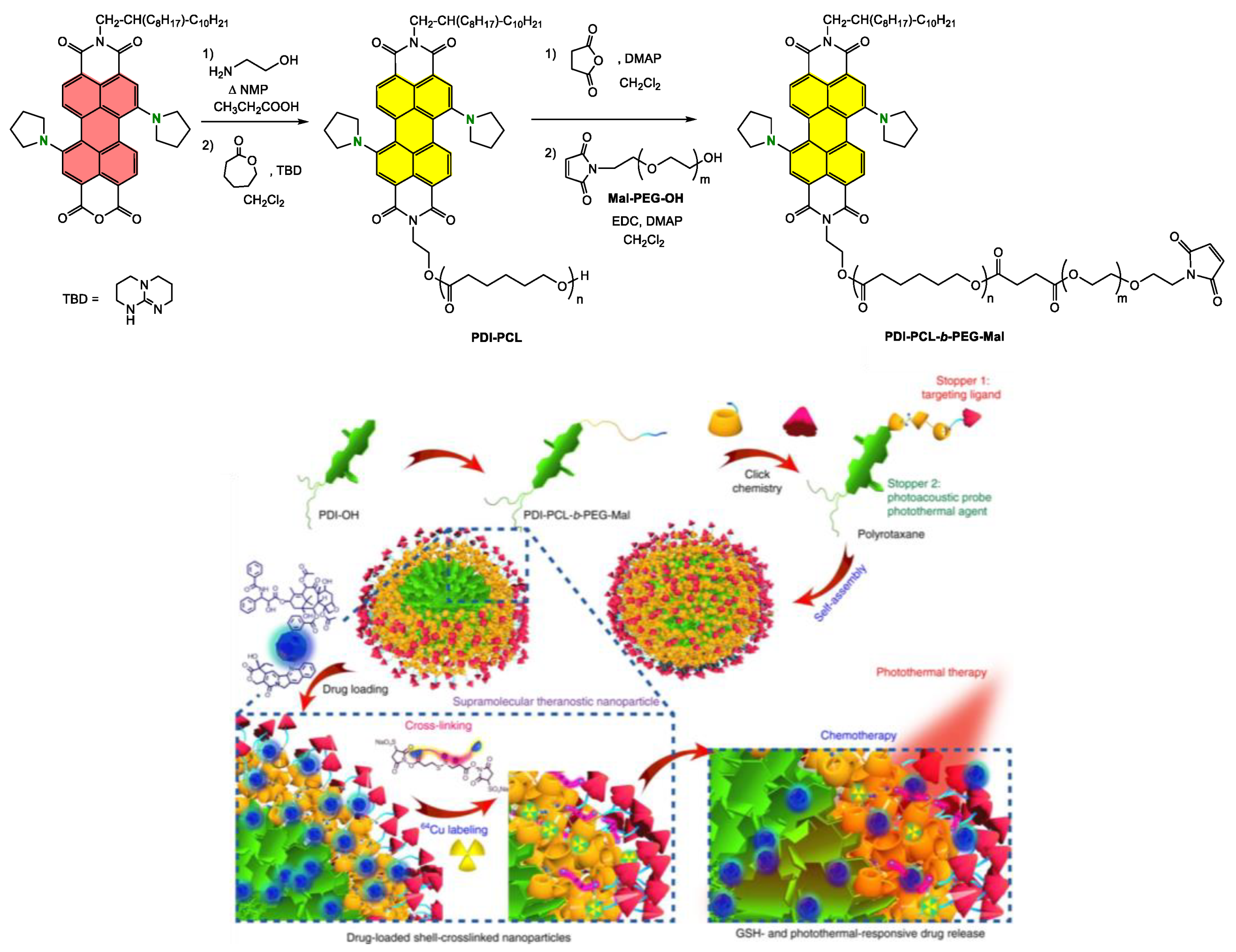 Ijms 24 06308 g025 Ijms 24 06308 g025