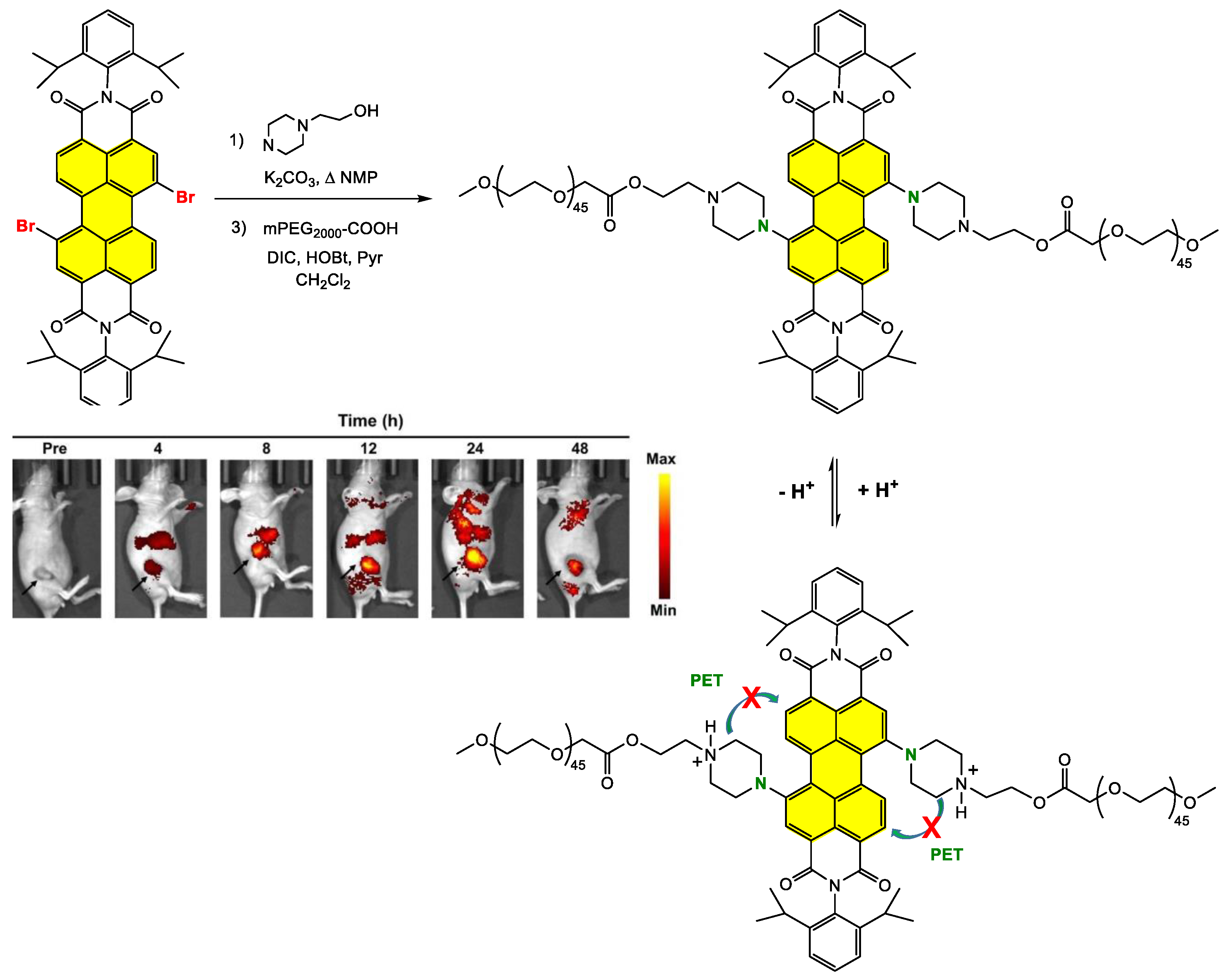 Ijms 24 06308 g030 Ijms 24 06308 g030