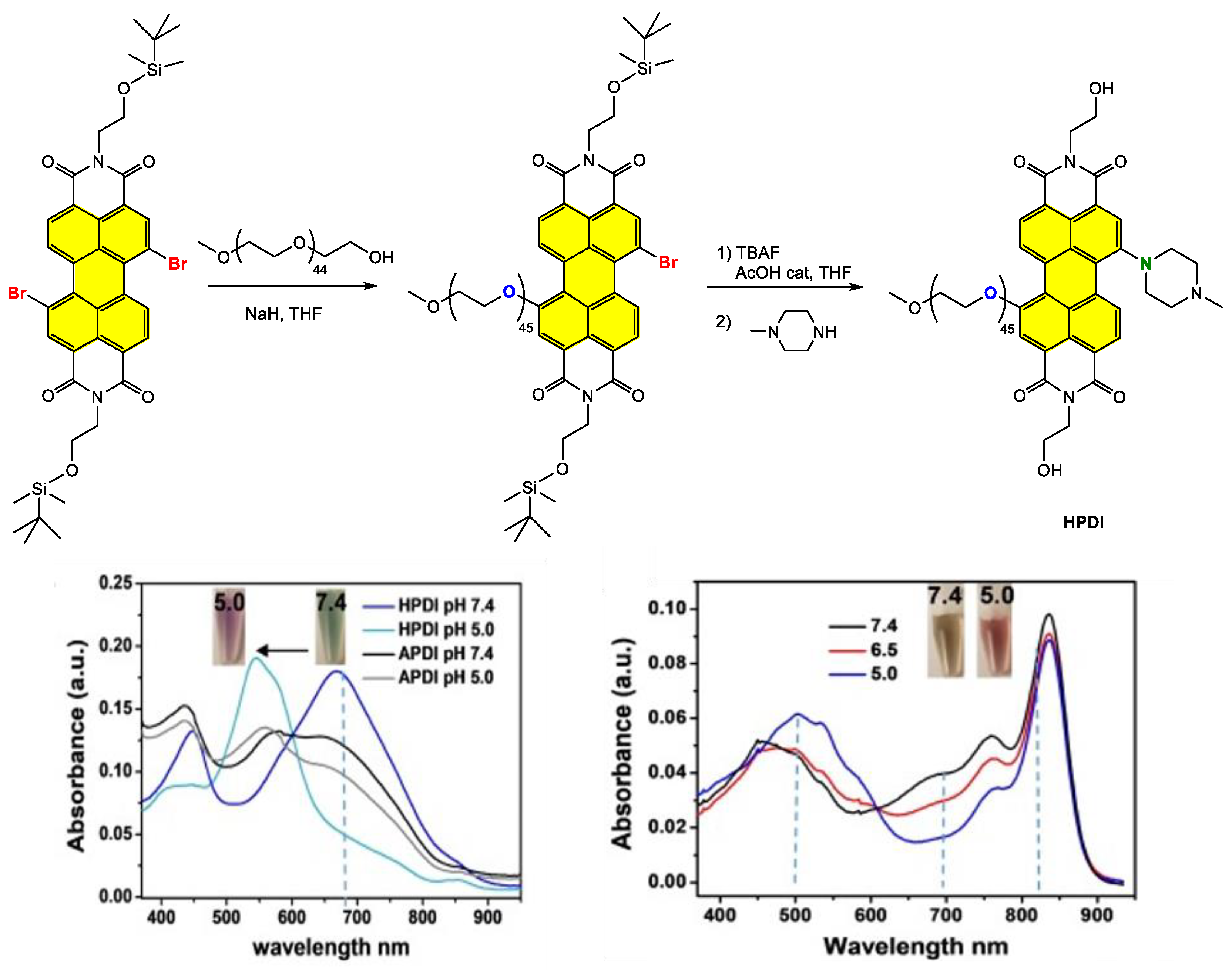 Ijms 24 06308 g031a Ijms 24 06308 g031a