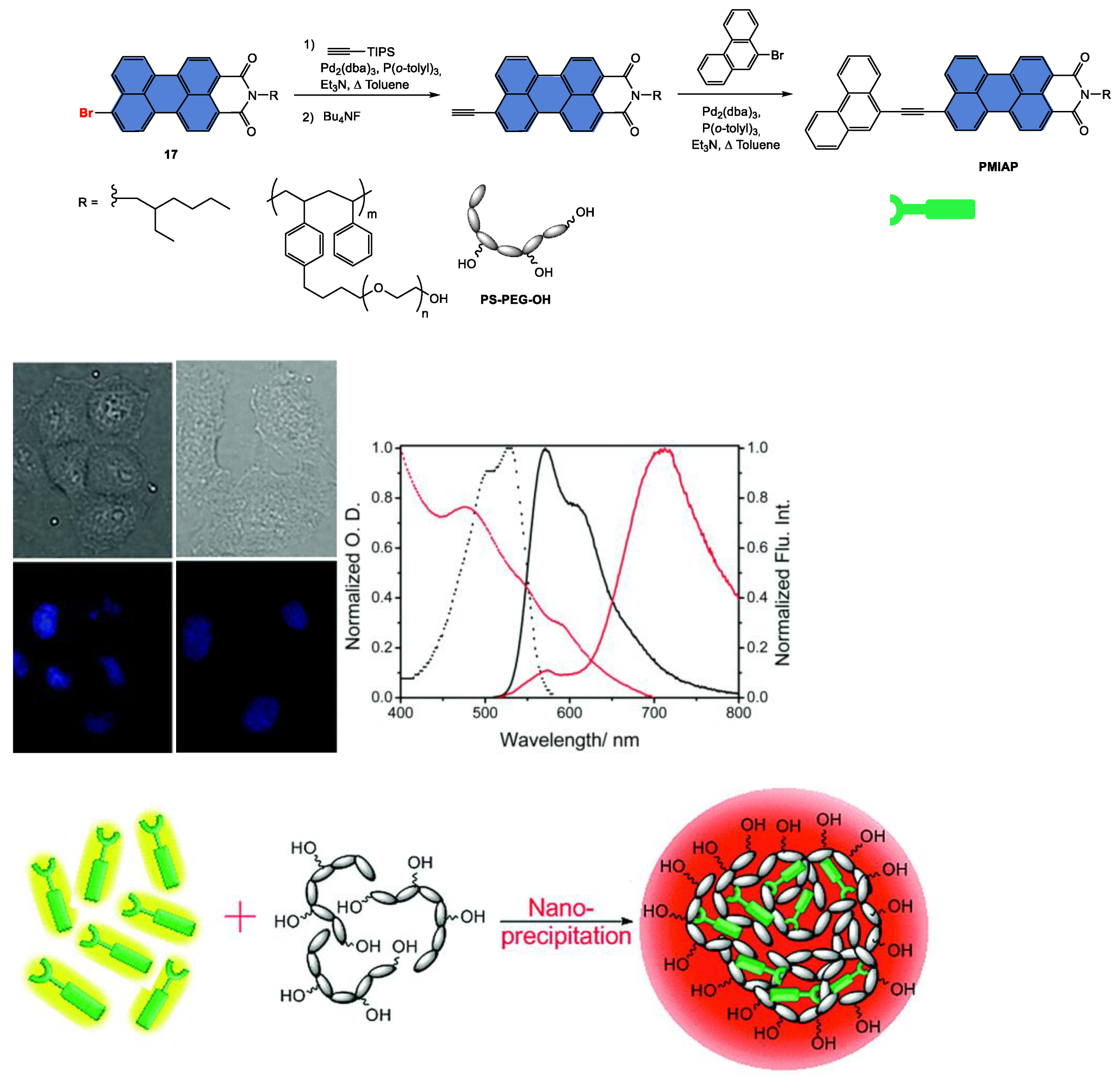 Ijms 24 06308 g032 Ijms 24 06308 g032